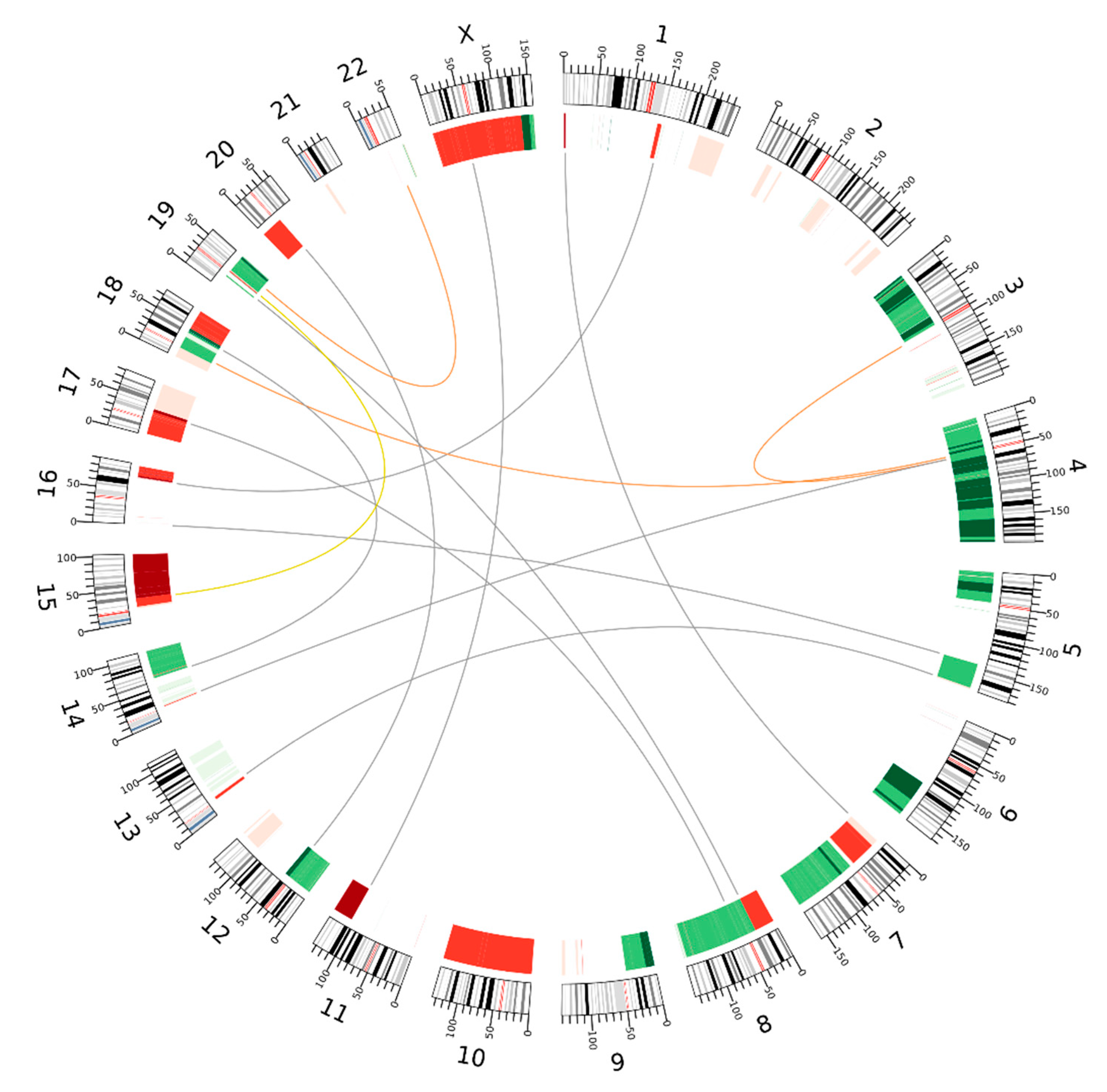 Ijms 22 01146 g004 Ijms 22 01146 g004