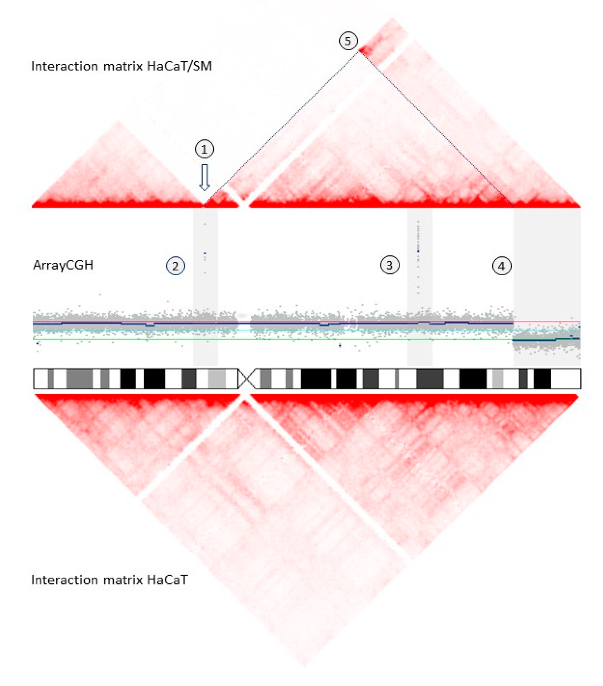 Ijms 22 01146 g005 Ijms 22 01146 g005