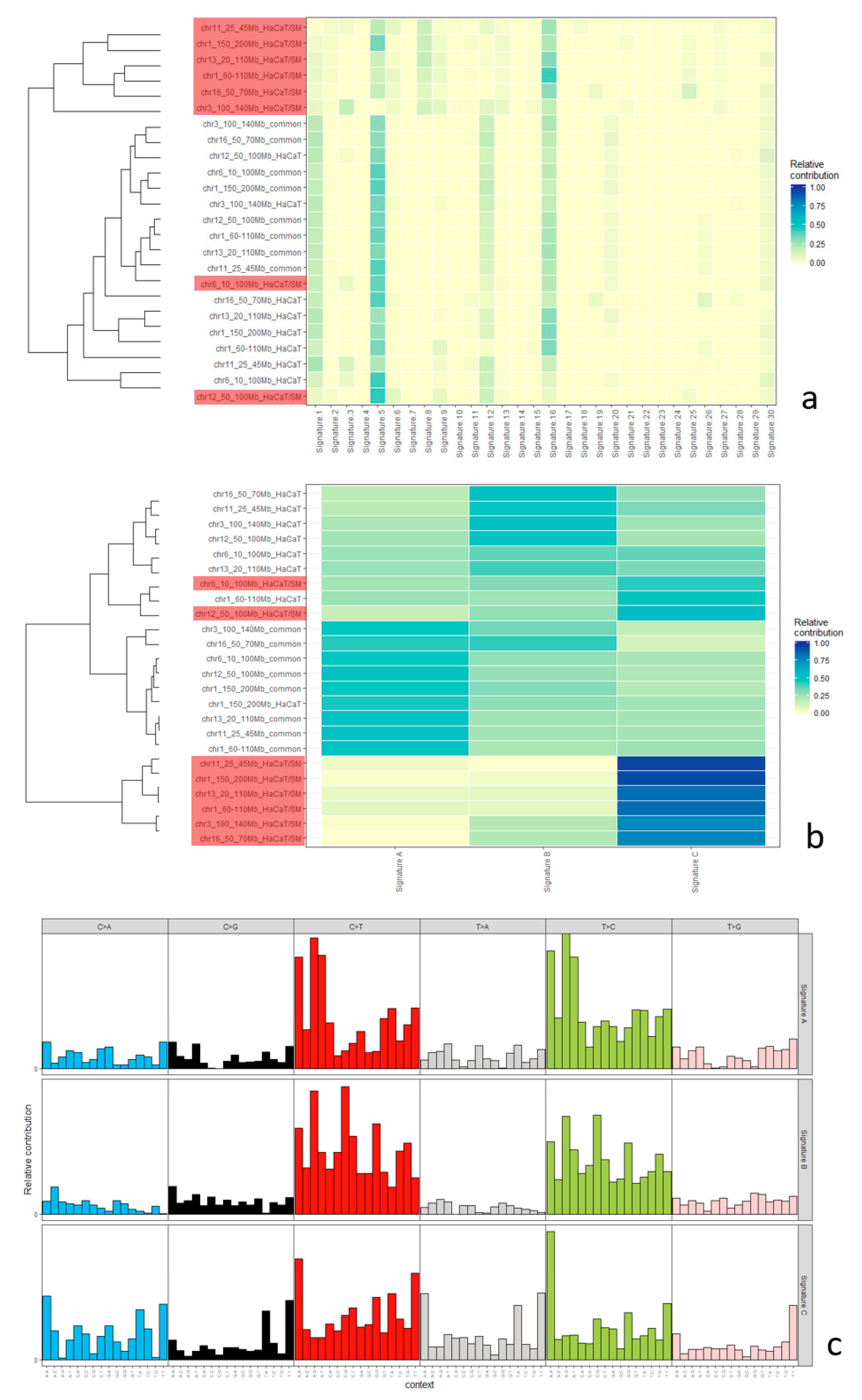 Ijms 22 01146 g007 Ijms 22 01146 g007
