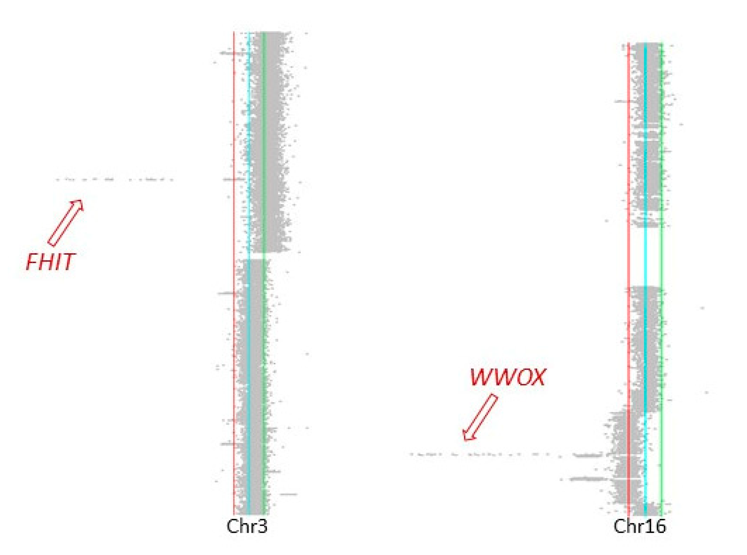Ijms 22 01146 g008 Ijms 22 01146 g008