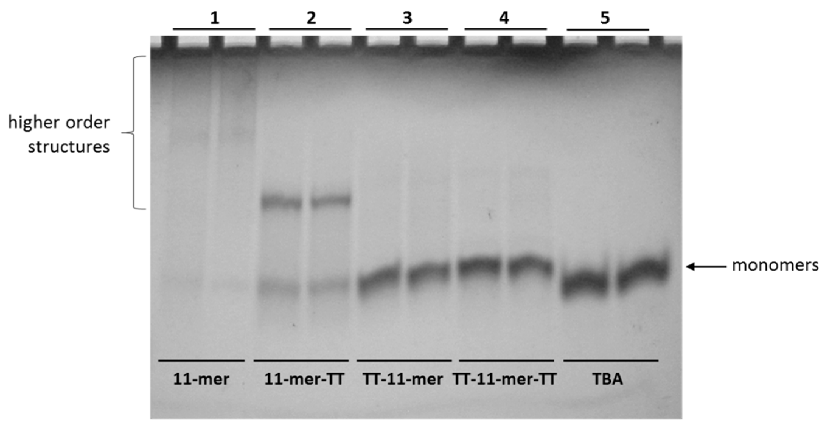 Ijms 22 01150 g001 Ijms 22 01150 g001