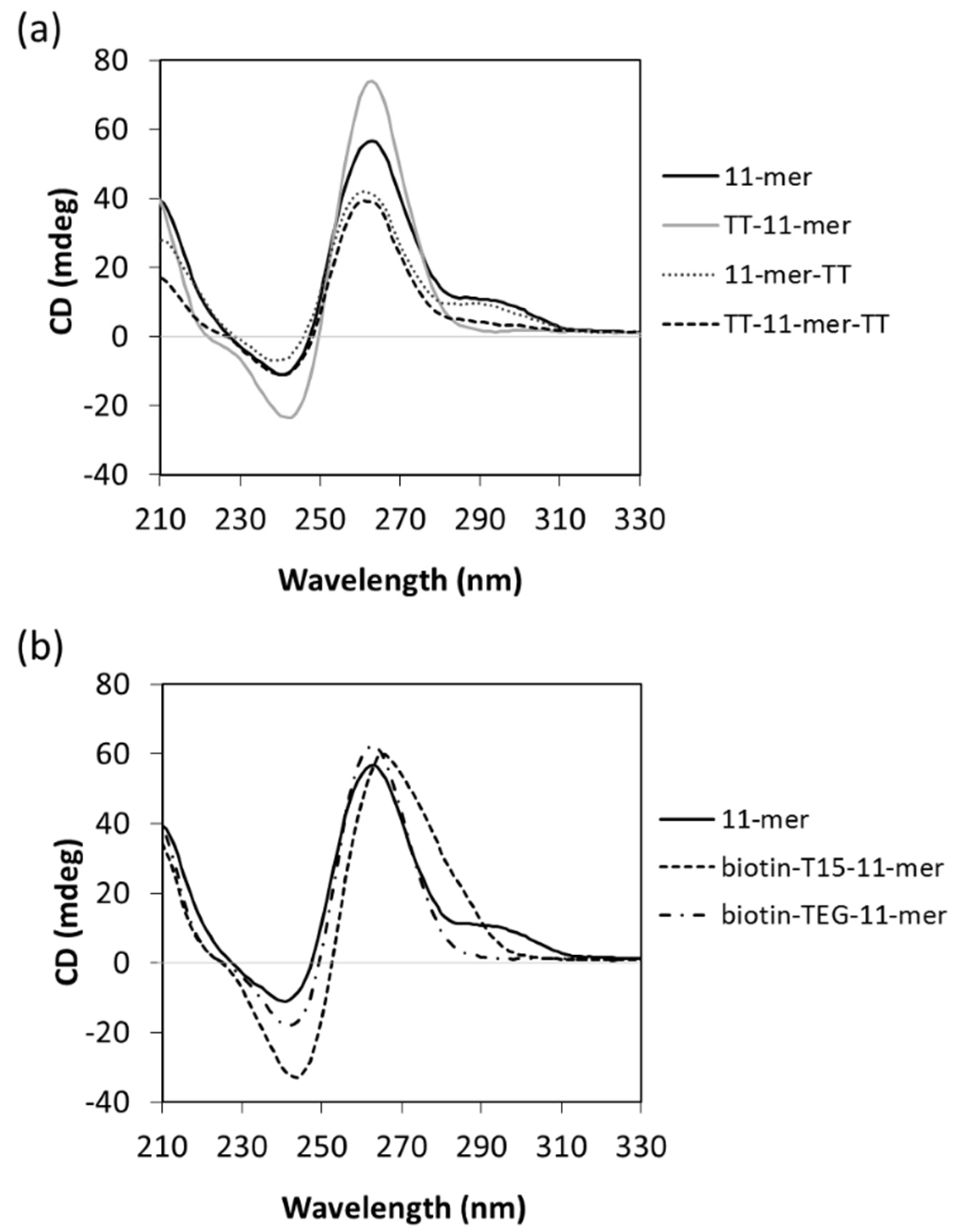 Ijms 22 01150 g004 Ijms 22 01150 g004