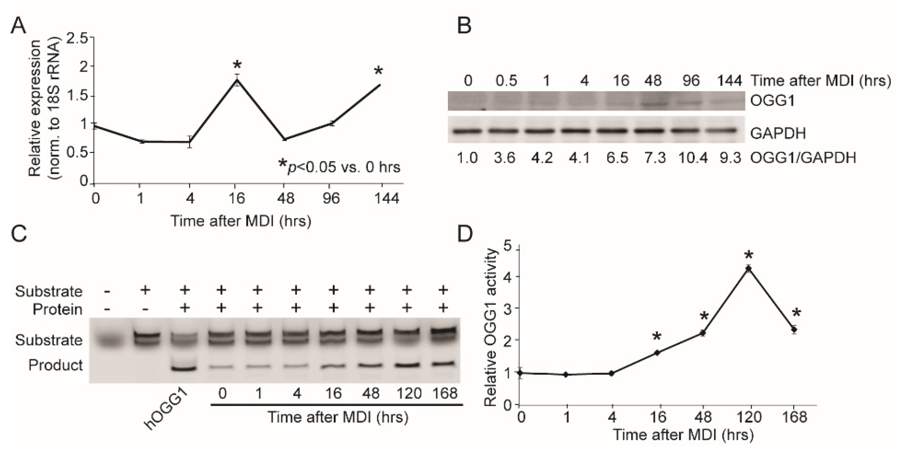 Ijms 22 01152 g001 Ijms 22 01152 g001