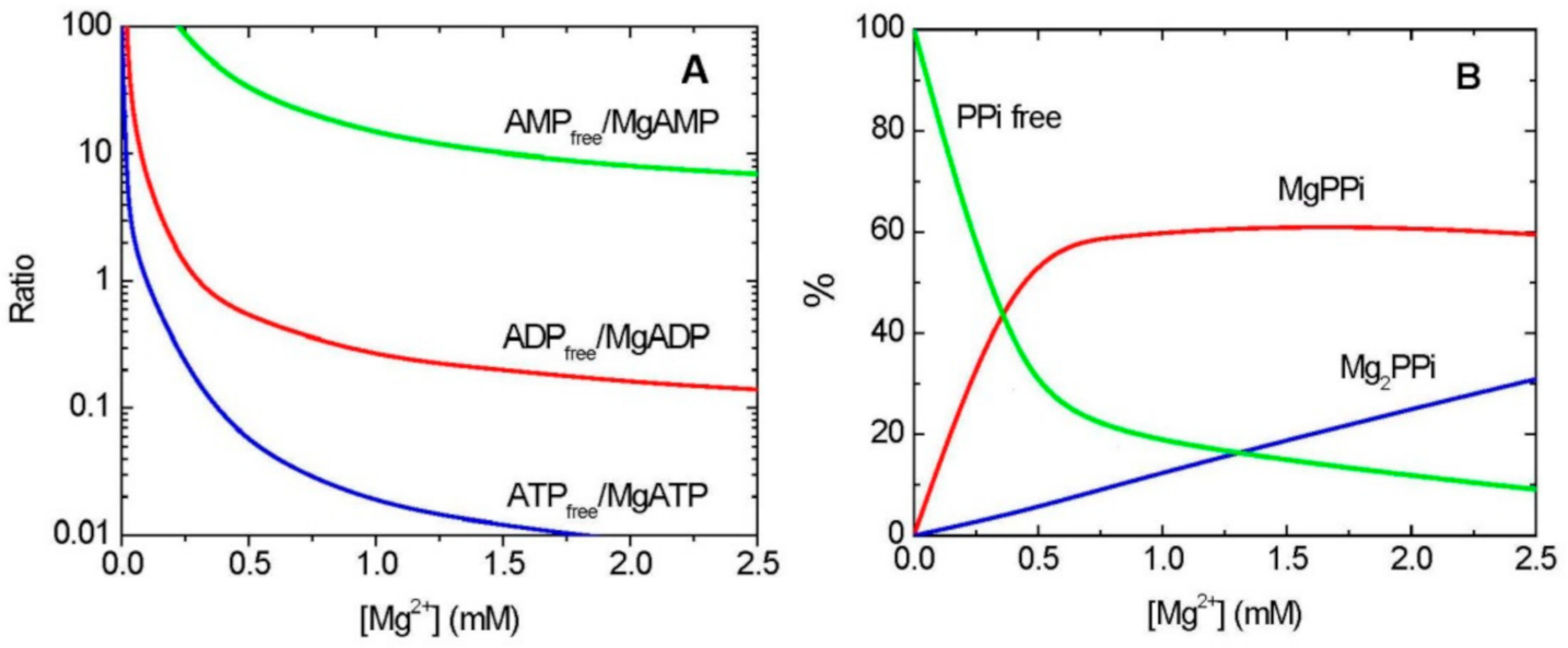 Ijms 22 01159 g001 Ijms 22 01159 g001