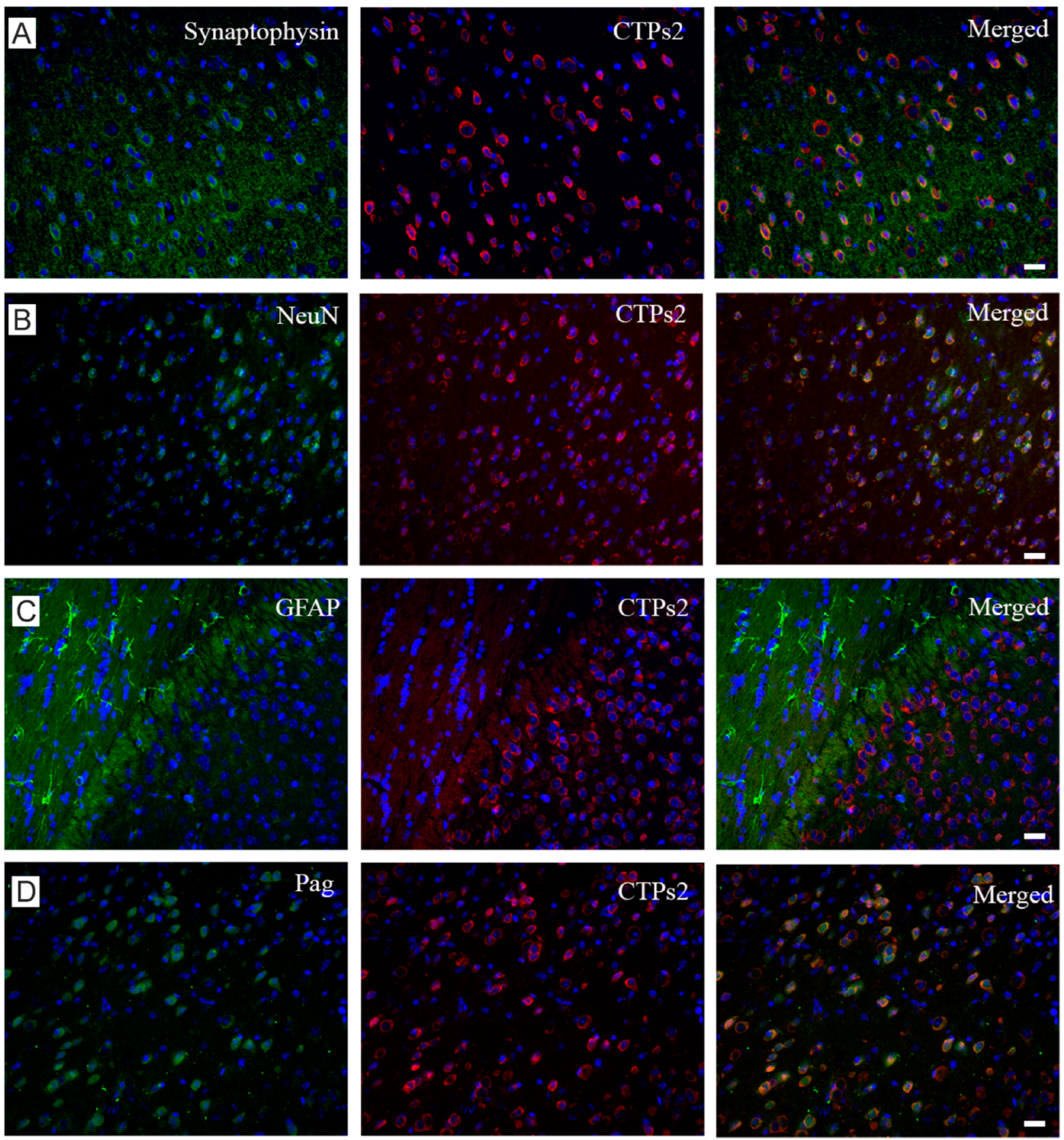 Ijms 22 01167 g003a