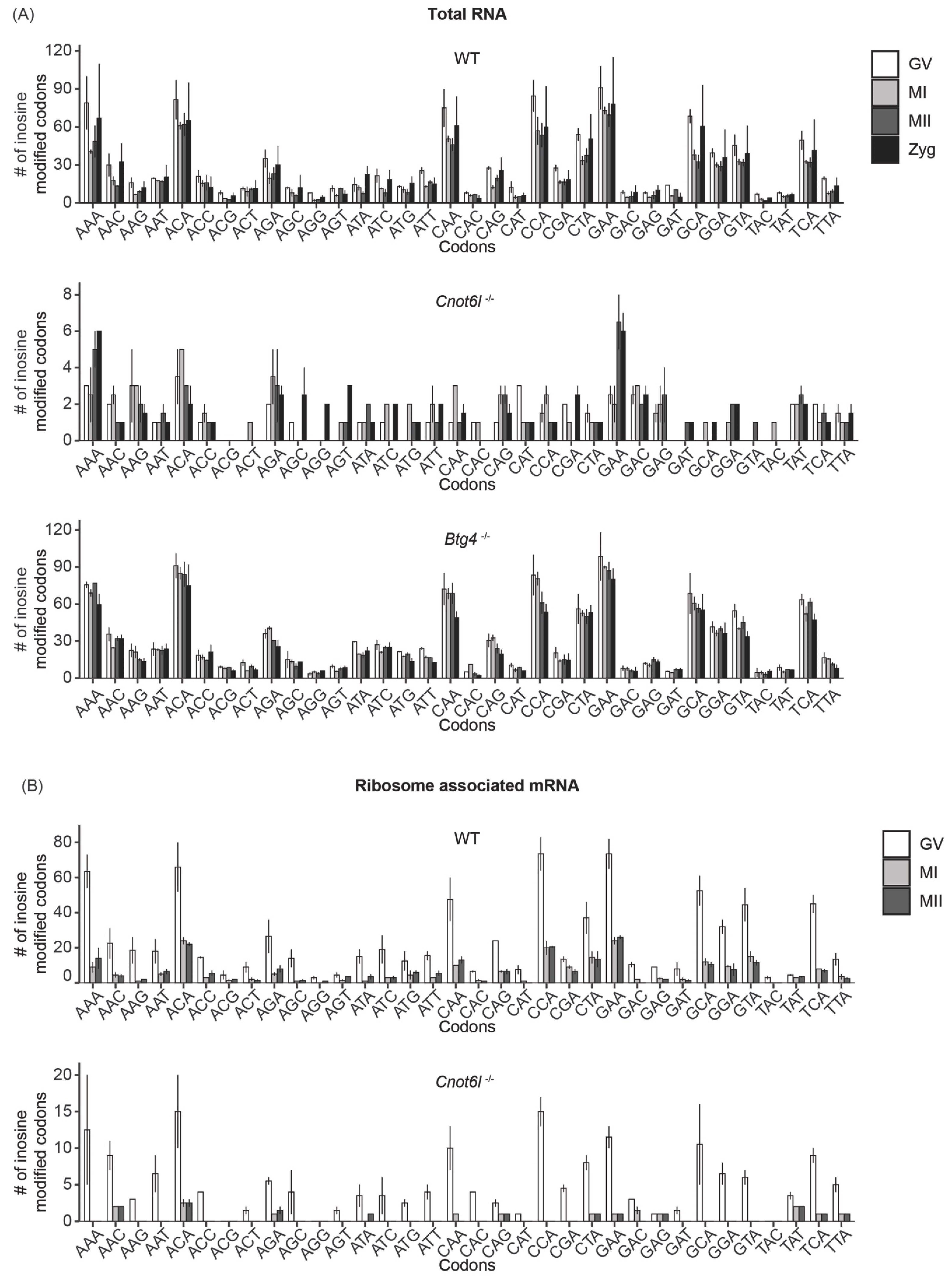Ijms 22 01191 g004 Ijms 22 01191 g004