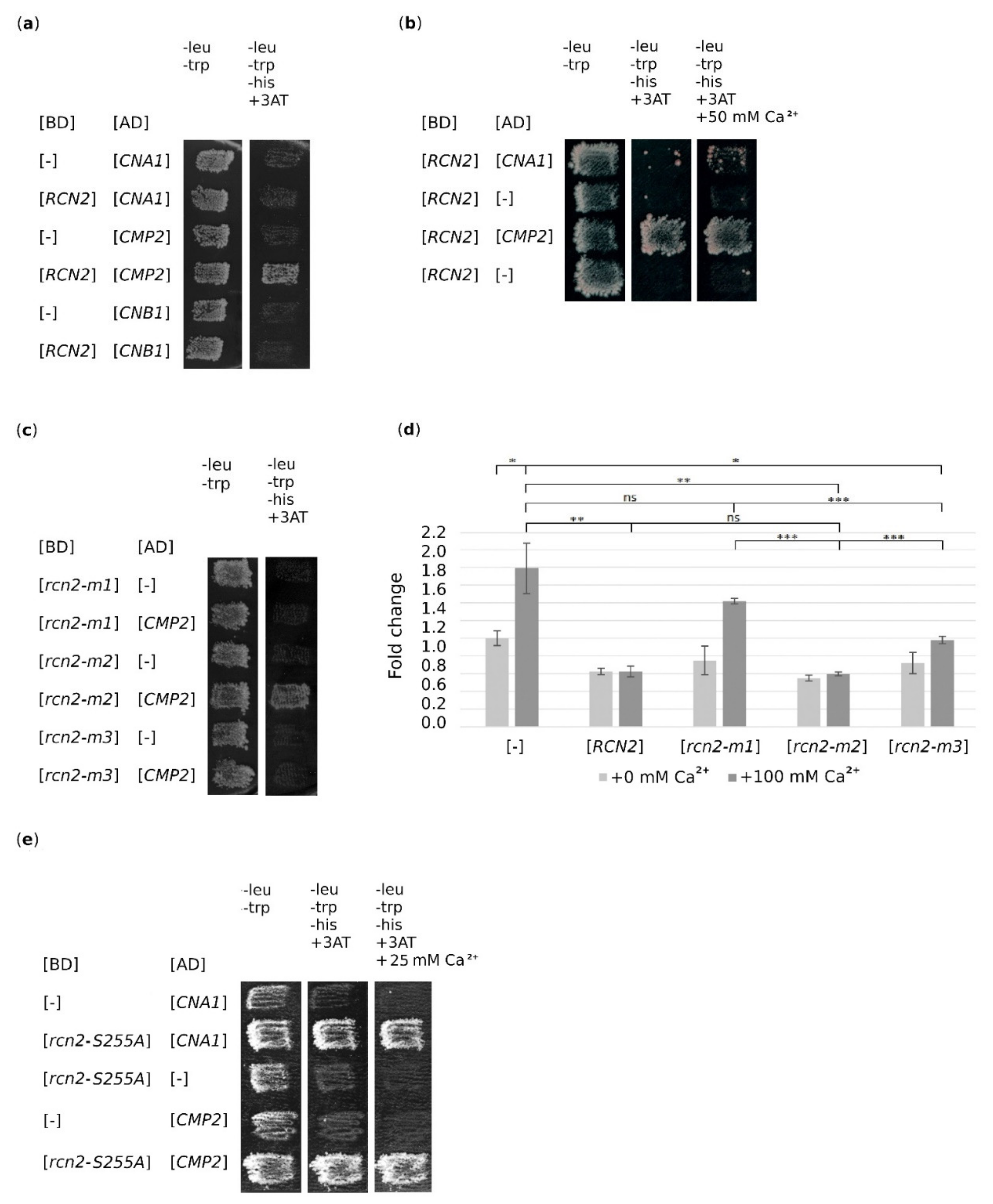 Ijms 22 01193 g004 Ijms 22 01193 g004