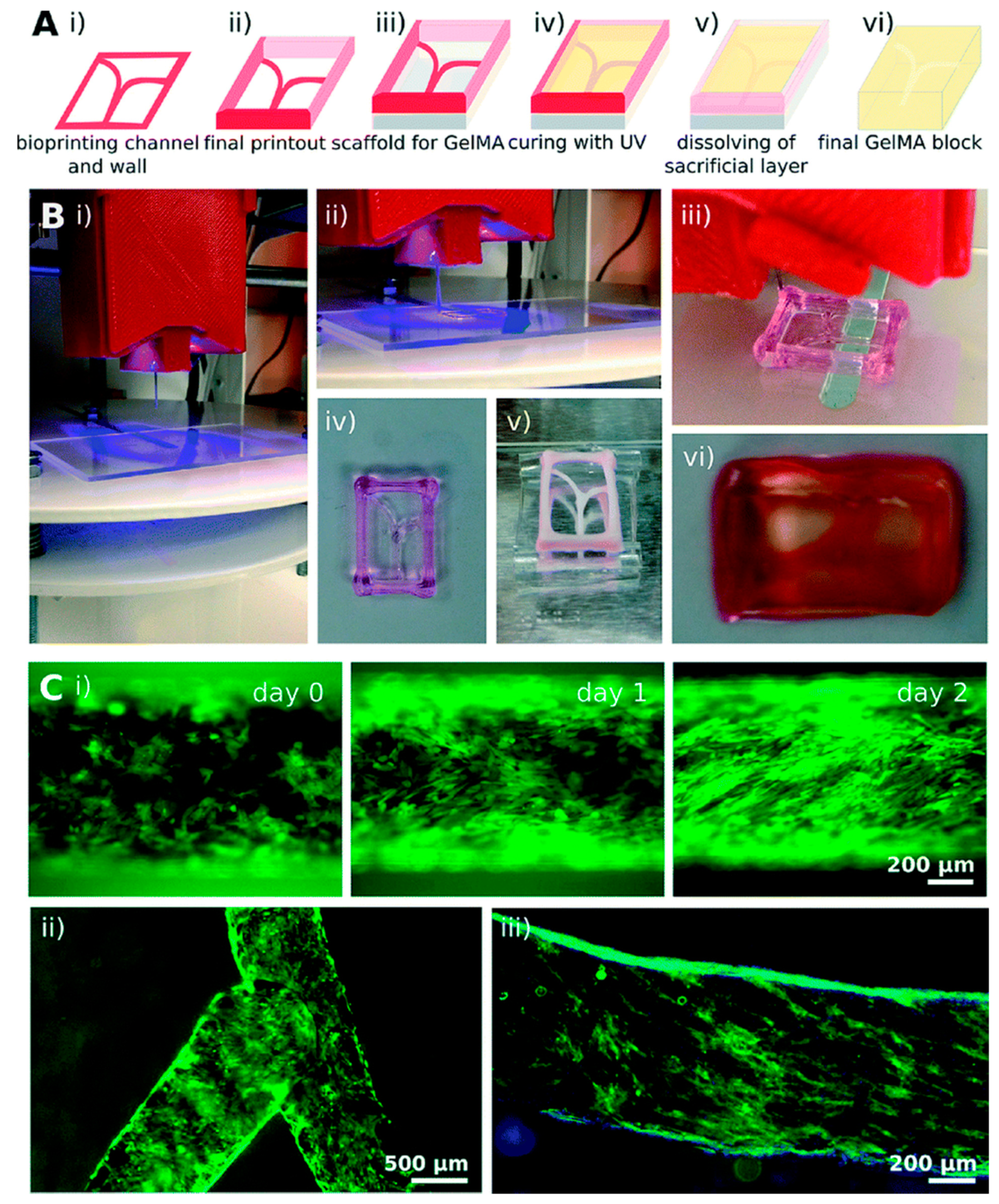 Ijms 22 01195 g002 Ijms 22 01195 g002