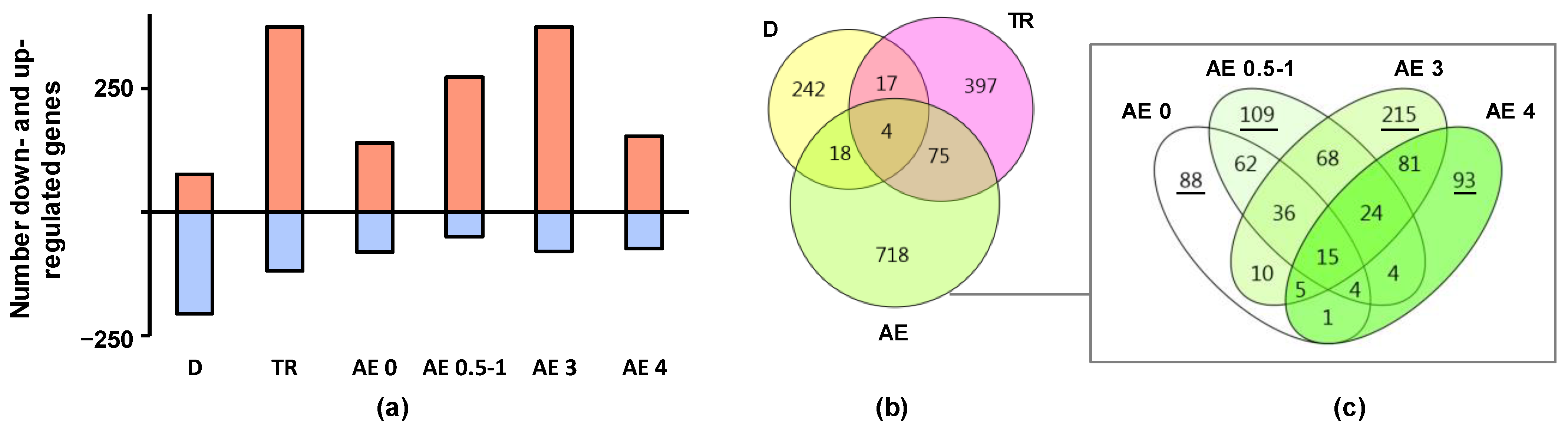 IJMS | Free Full-Text | Transcriptomic Signatures and Upstream Regulation in Human Muscle Adapted to Disuse and Aerobic Exercise HTML