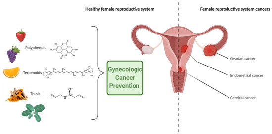 Phytochemicals in Gynecological Cancer Prevention