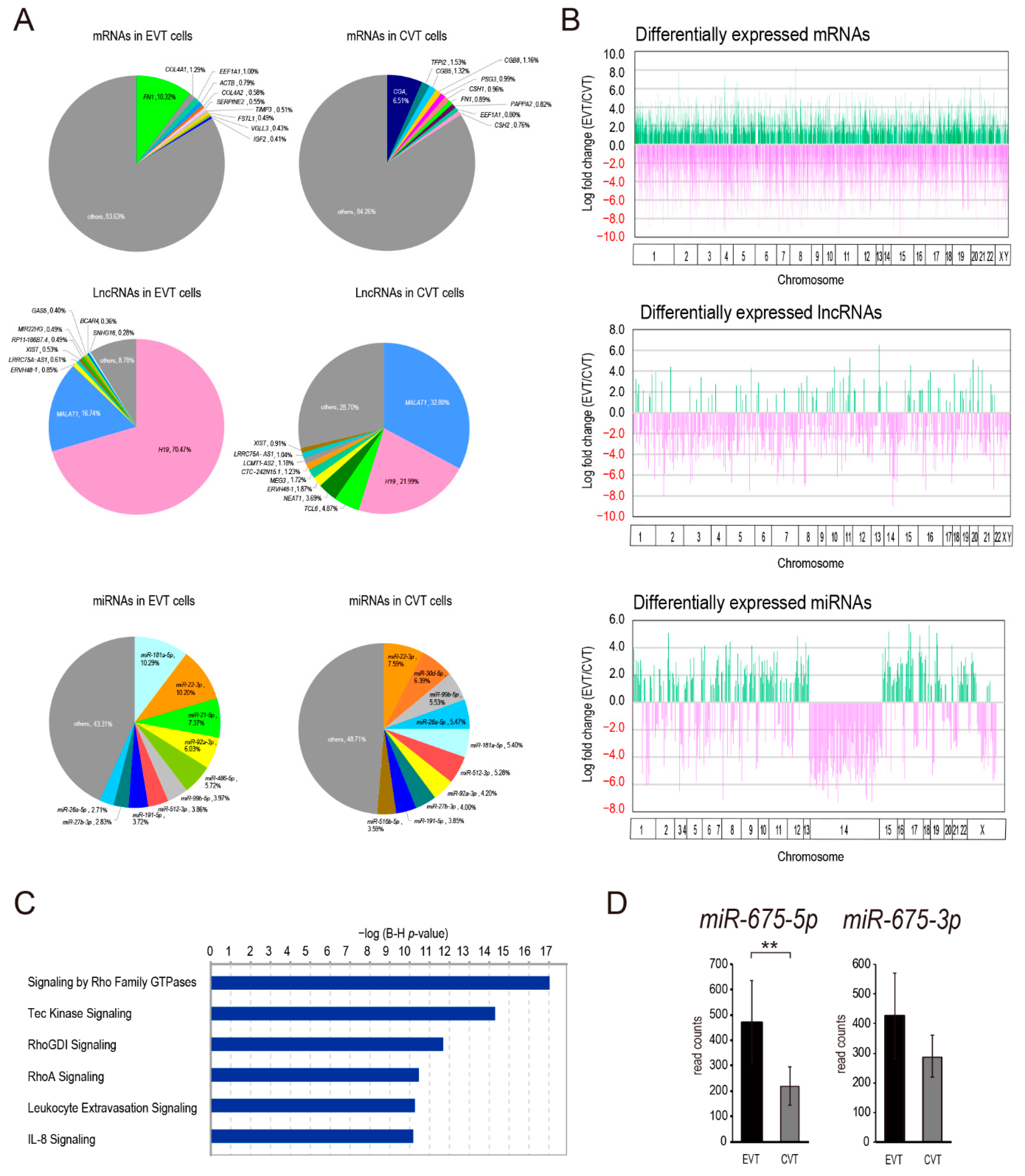 Ijms 22 01237 g001 Ijms 22 01237 g001
