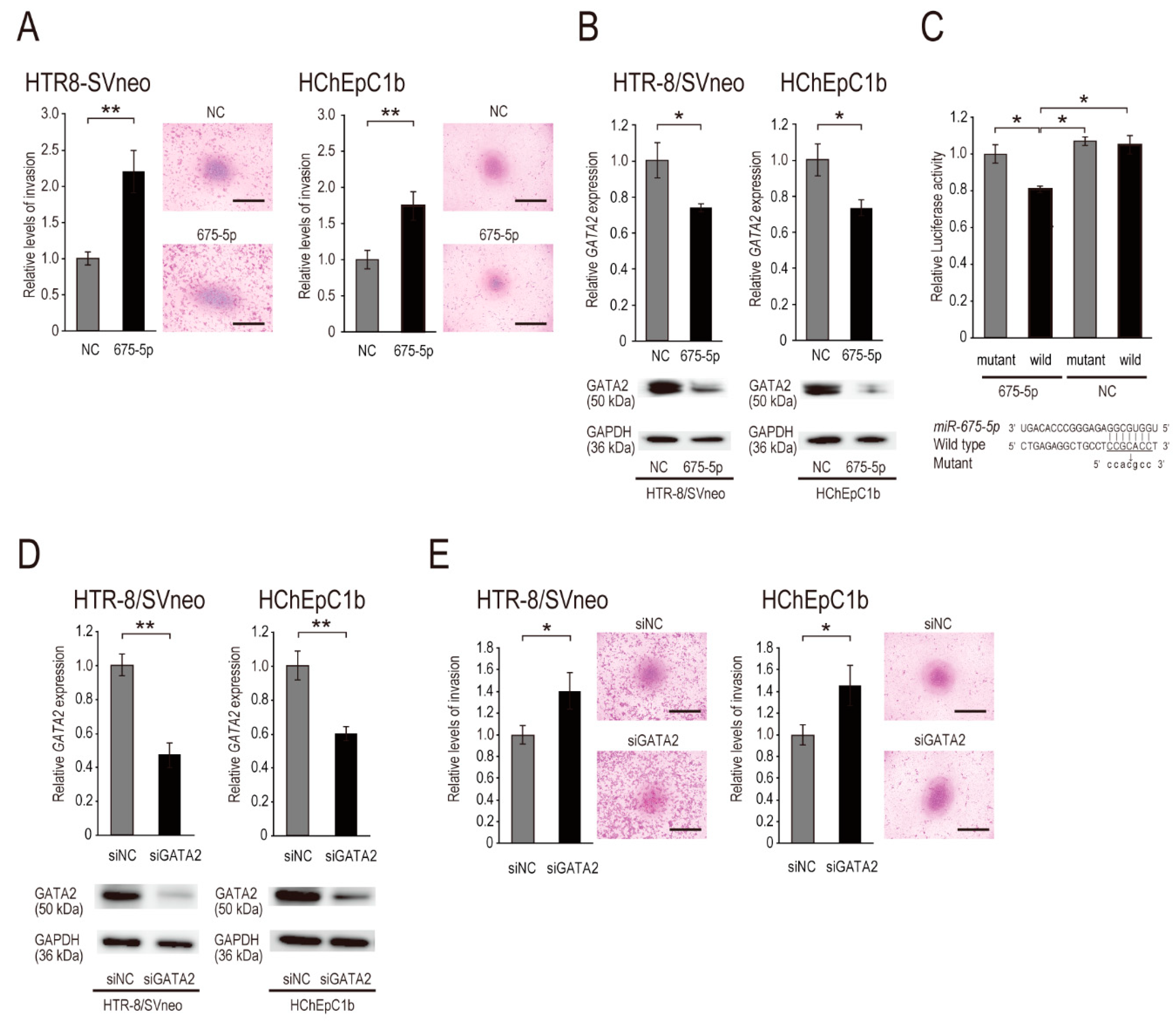 Ijms 22 01237 g002 Ijms 22 01237 g002