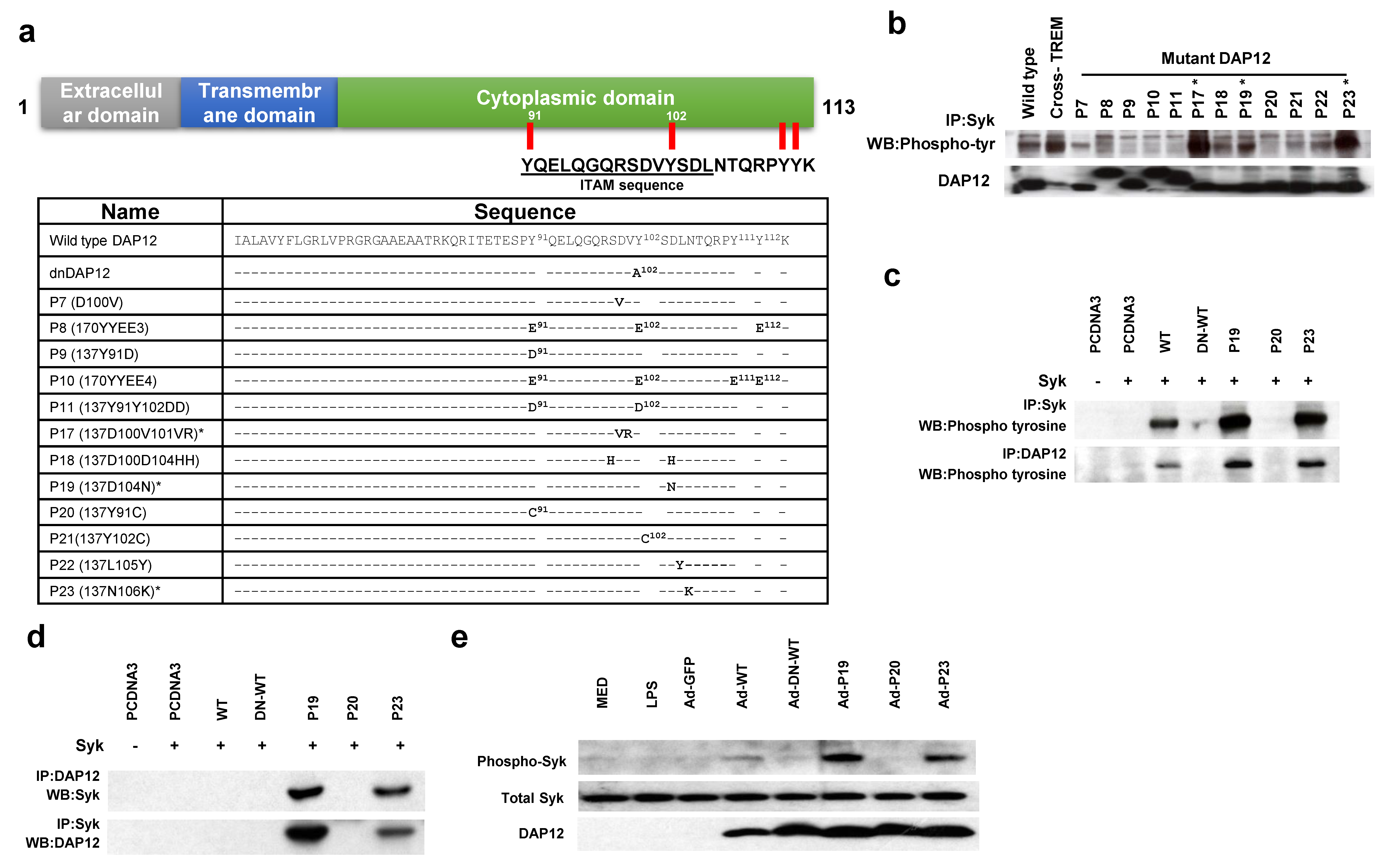 Ijms 22 01241 g001 Ijms 22 01241 g001