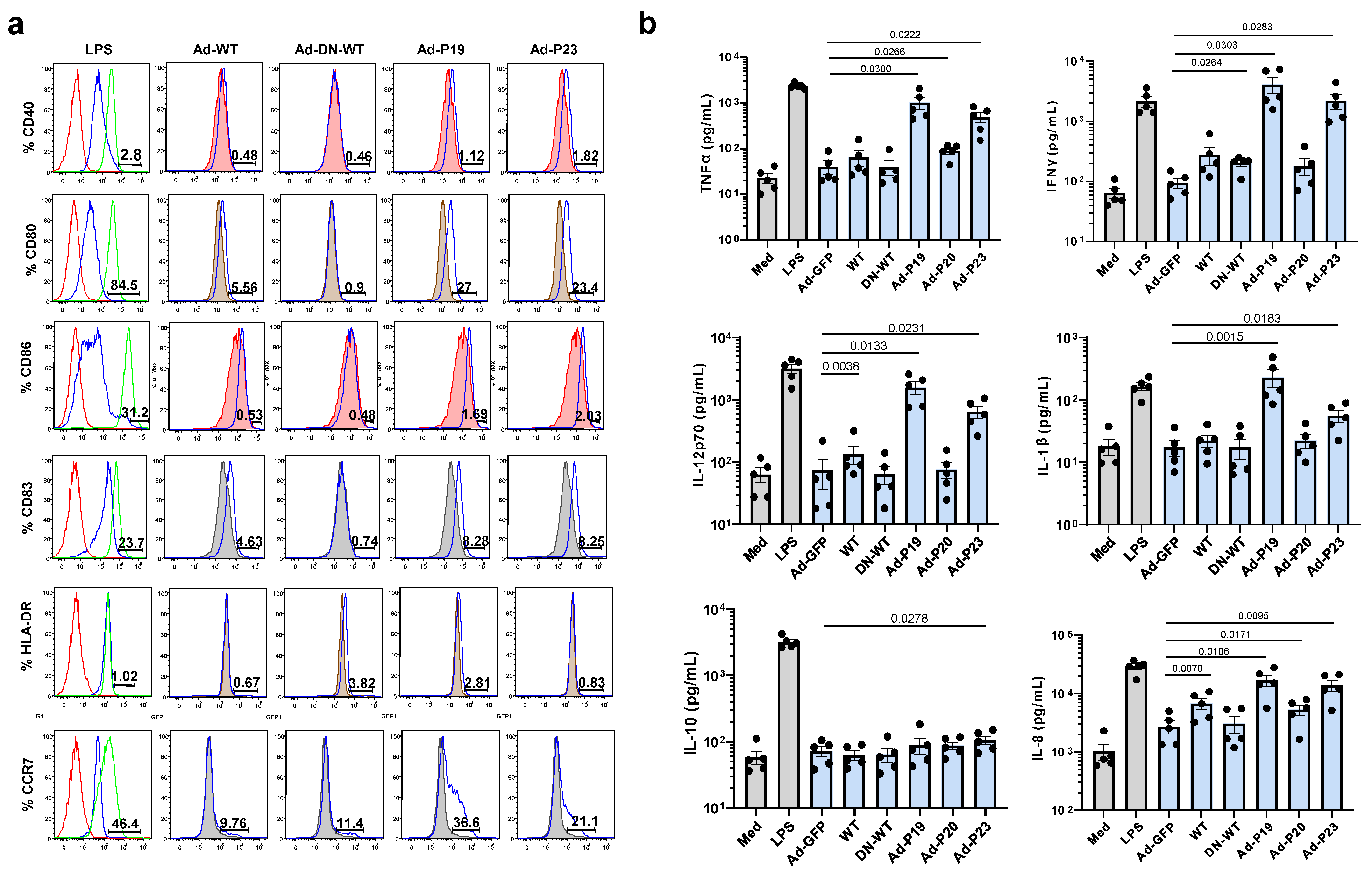 Ijms 22 01241 g002 Ijms 22 01241 g002