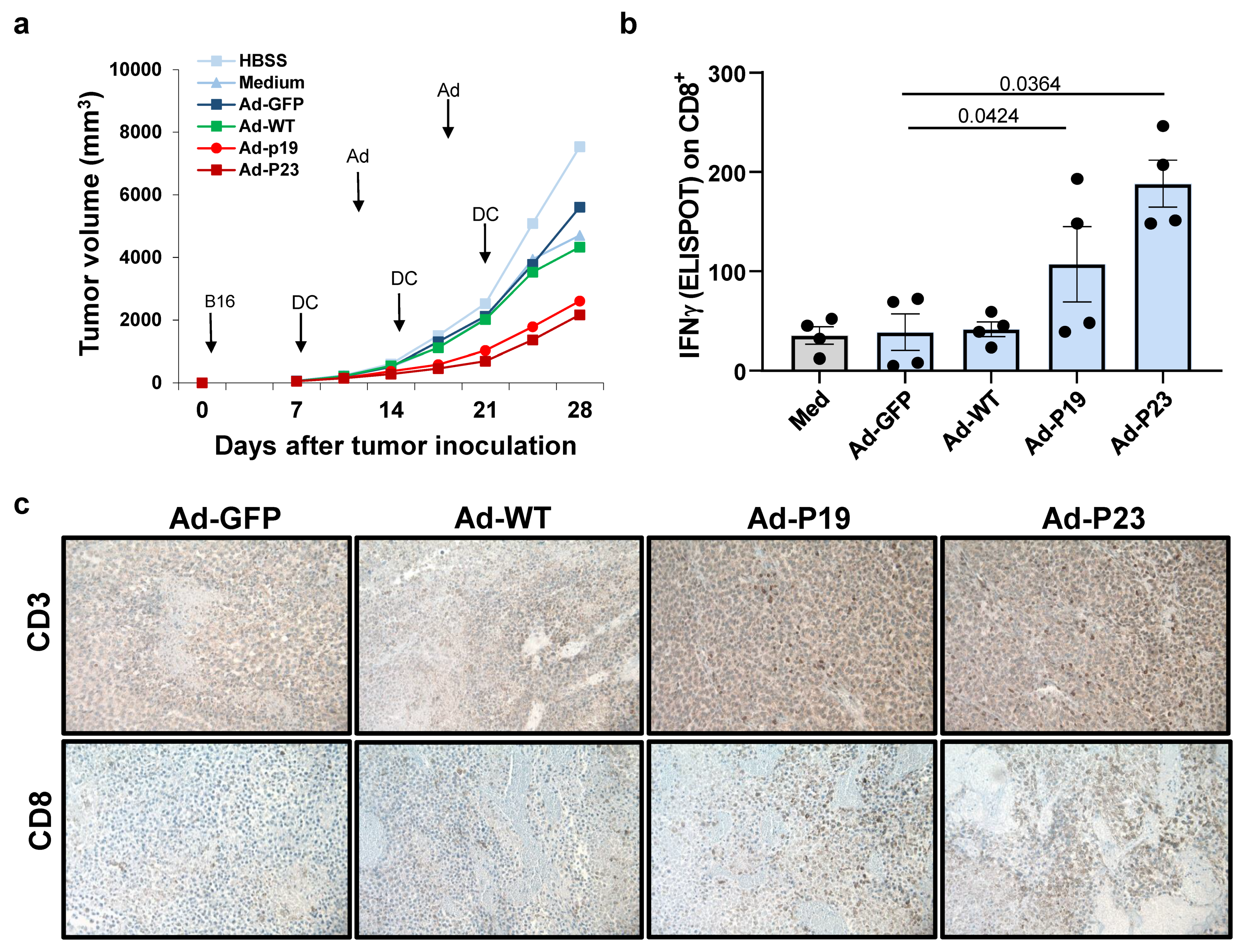 Ijms 22 01241 g004 Ijms 22 01241 g004