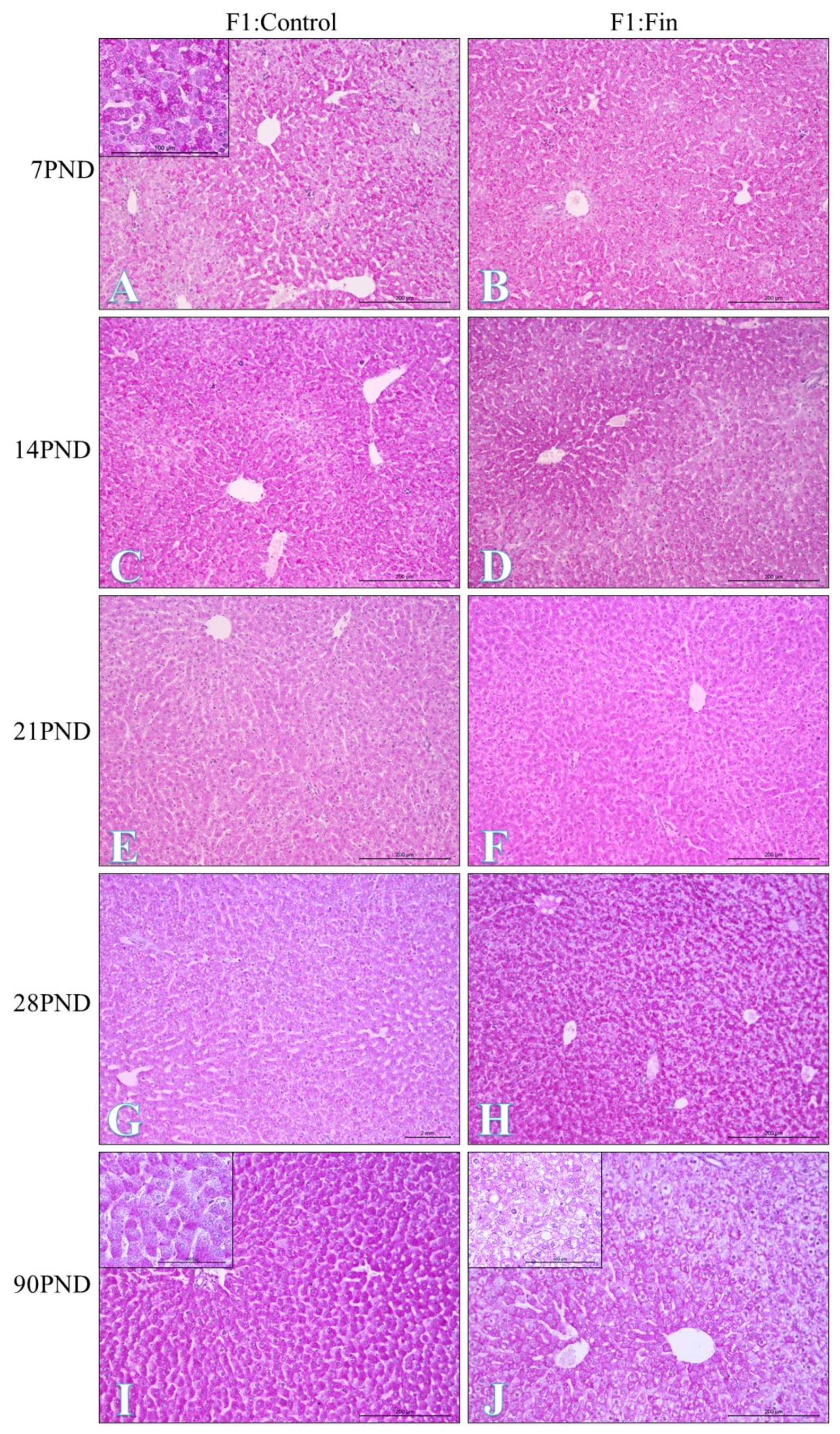 Ijms 22 01242 g001 Ijms 22 01242 g001