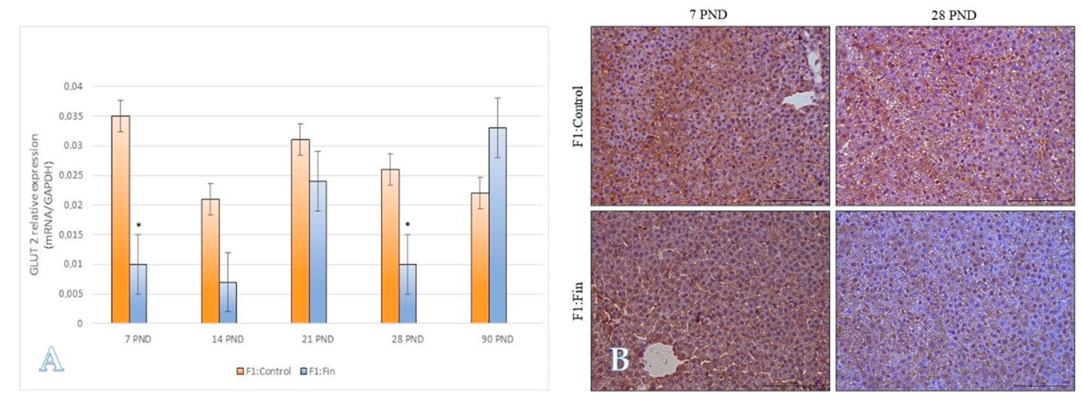 Ijms 22 01242 g007 Ijms 22 01242 g007