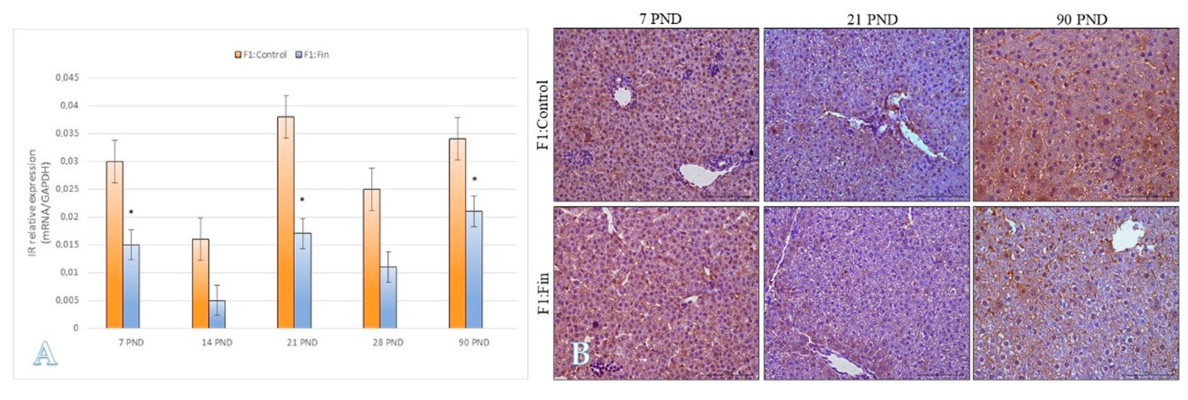 Ijms 22 01242 g008 Ijms 22 01242 g008