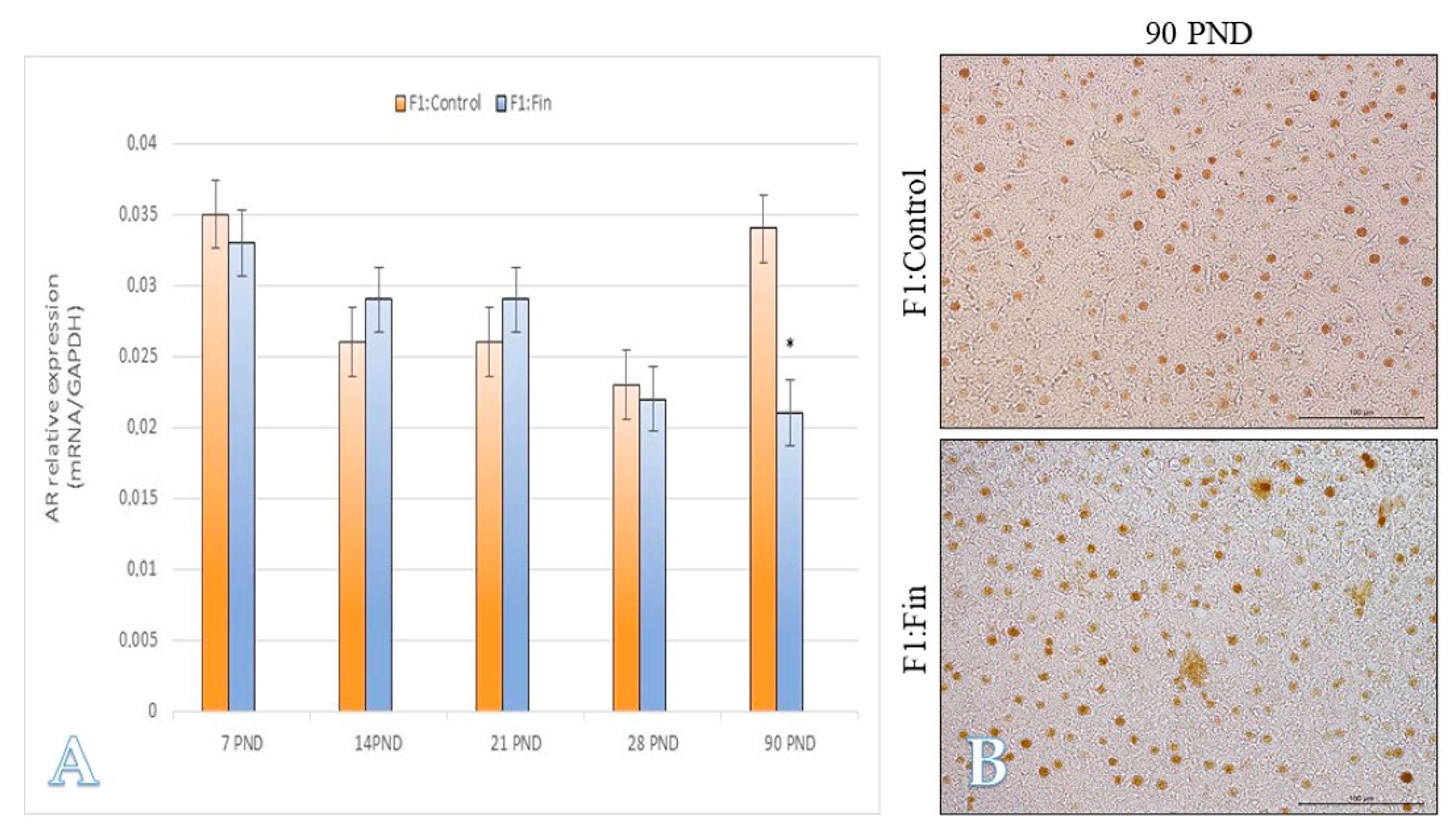 Ijms 22 01242 g009 Ijms 22 01242 g009