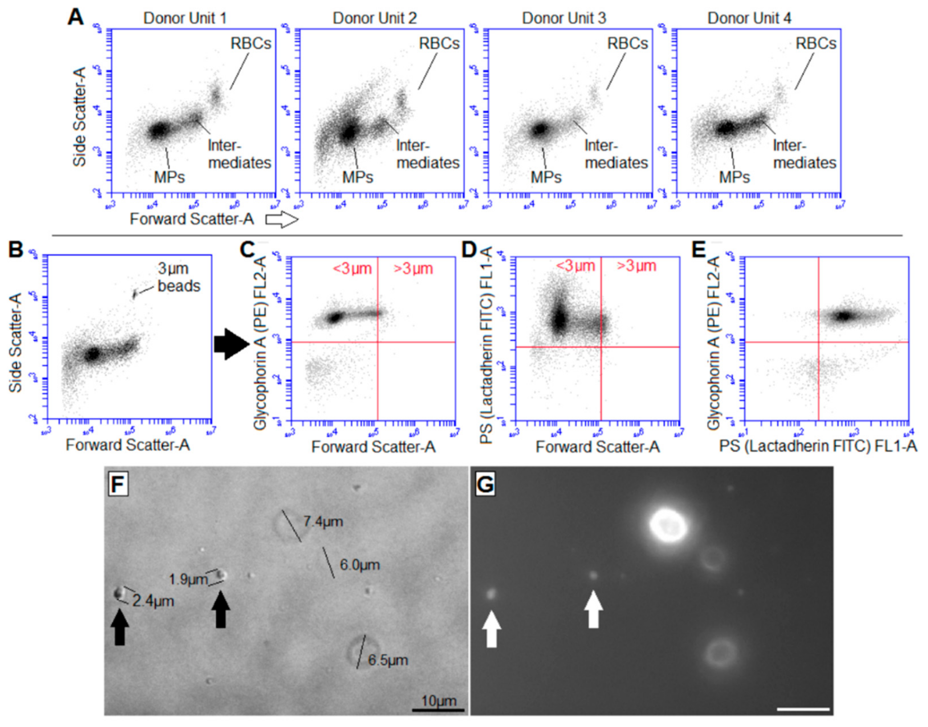 Ijms 22 01243 g001 Ijms 22 01243 g001