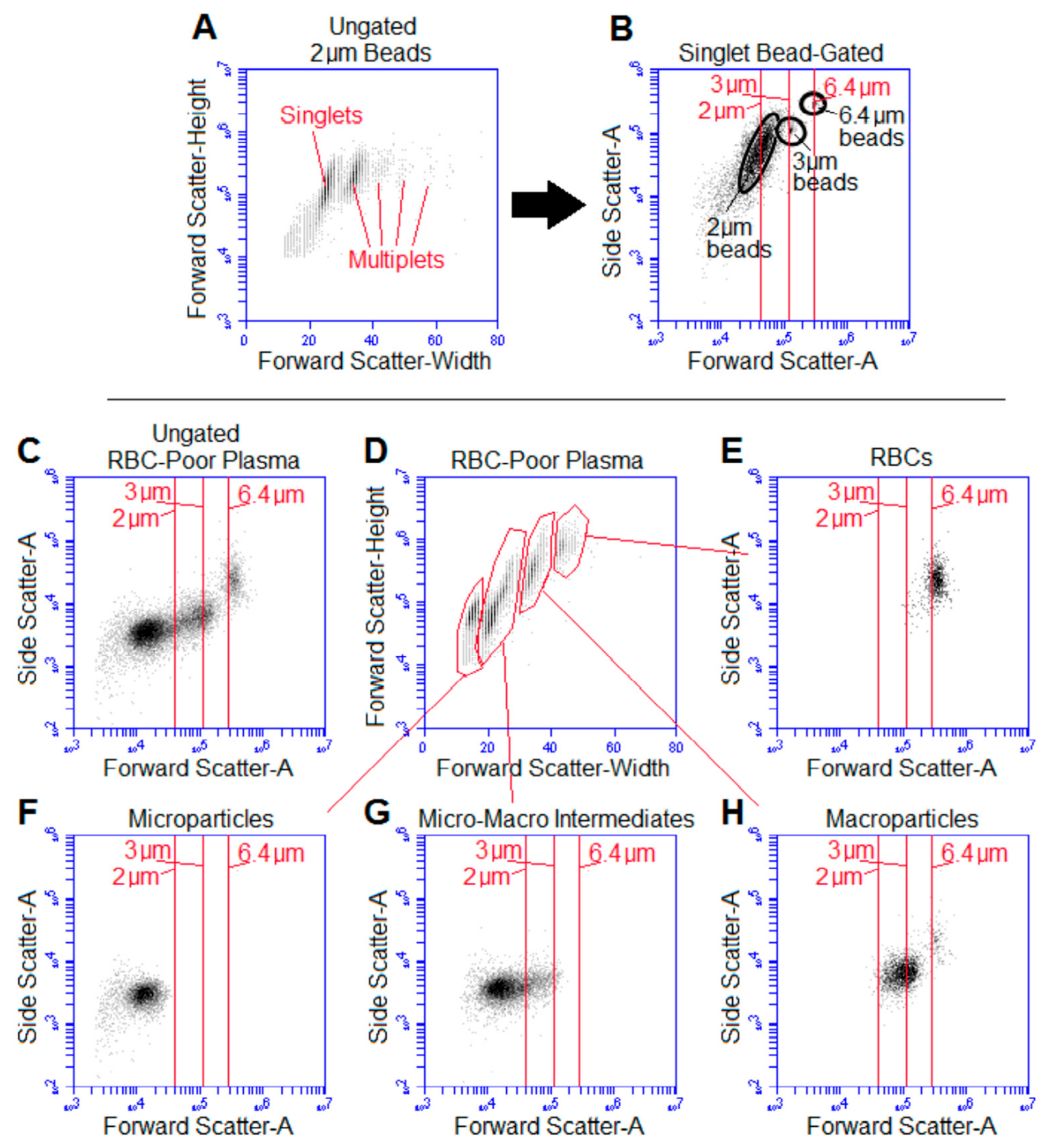 Ijms 22 01243 g002 Ijms 22 01243 g002