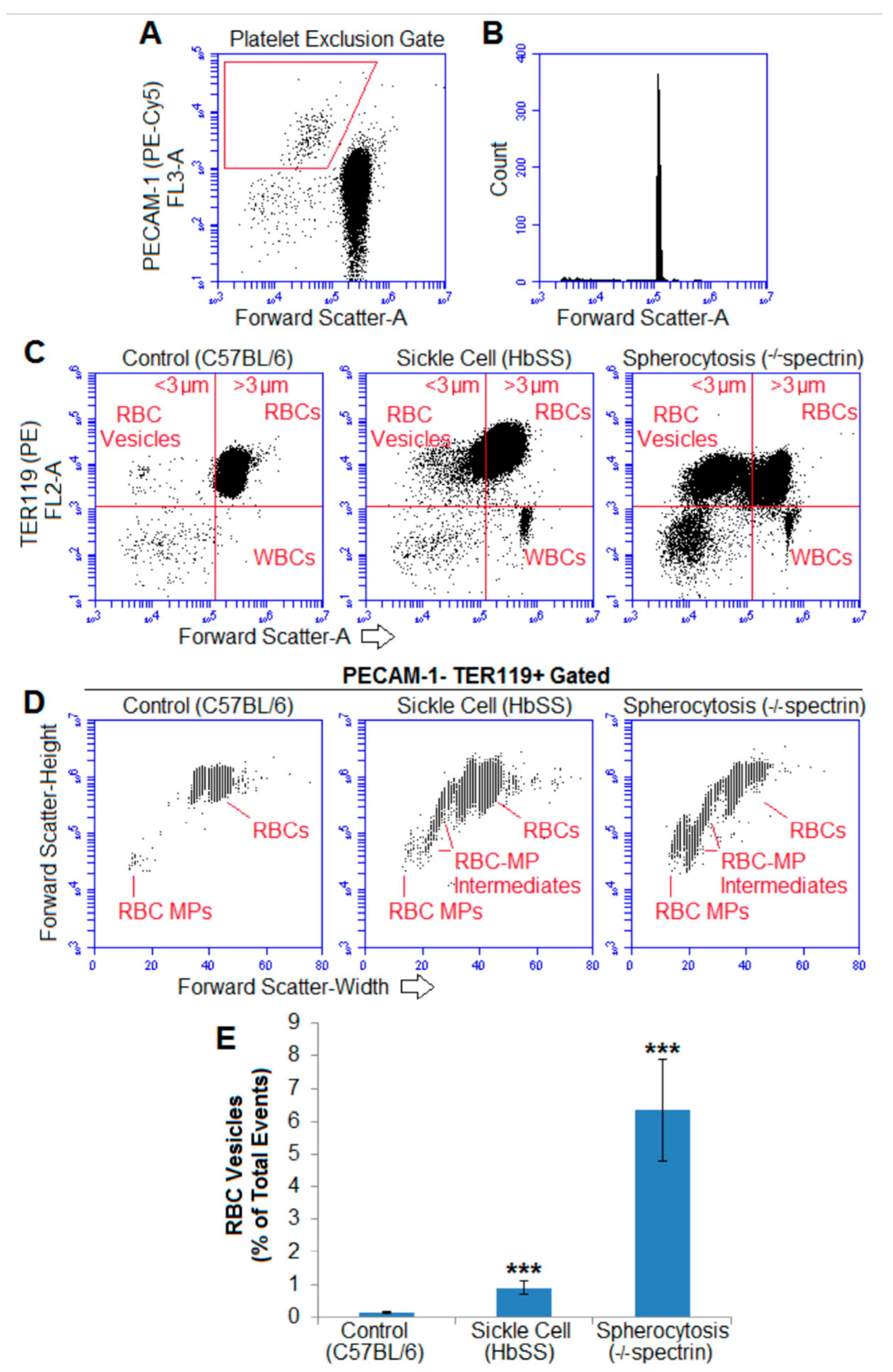 Ijms 22 01243 g007 Ijms 22 01243 g007