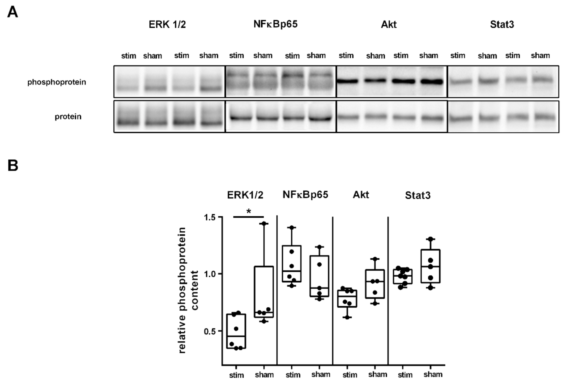 Ijms 22 01254 g003 Ijms 22 01254 g003