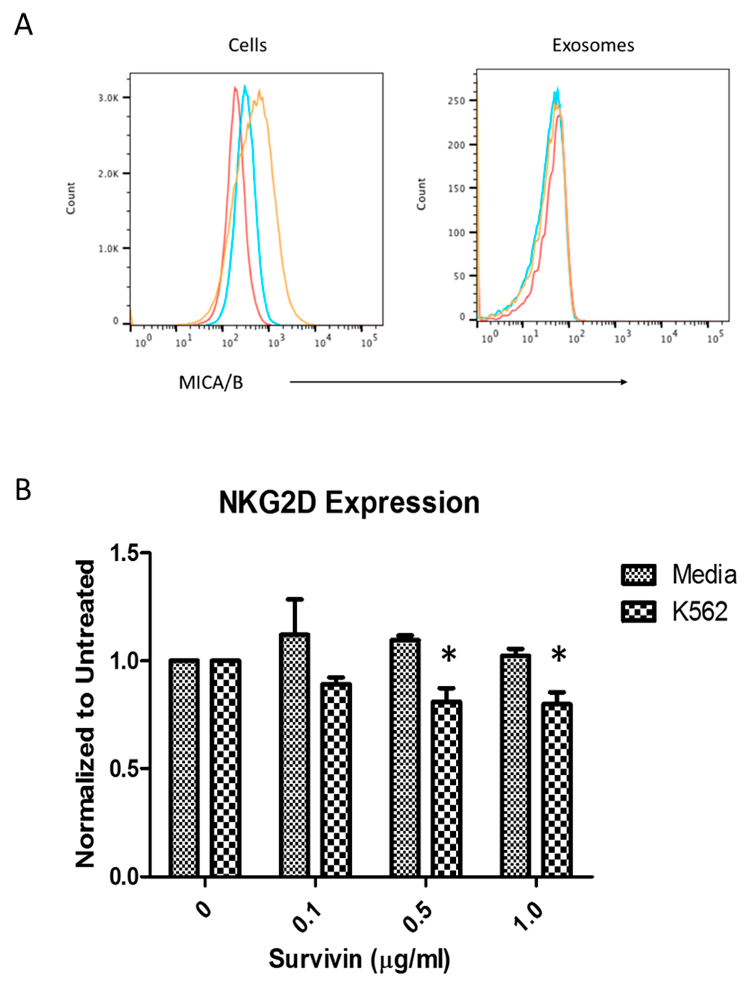 Ijms 22 01255 g003 Ijms 22 01255 g003