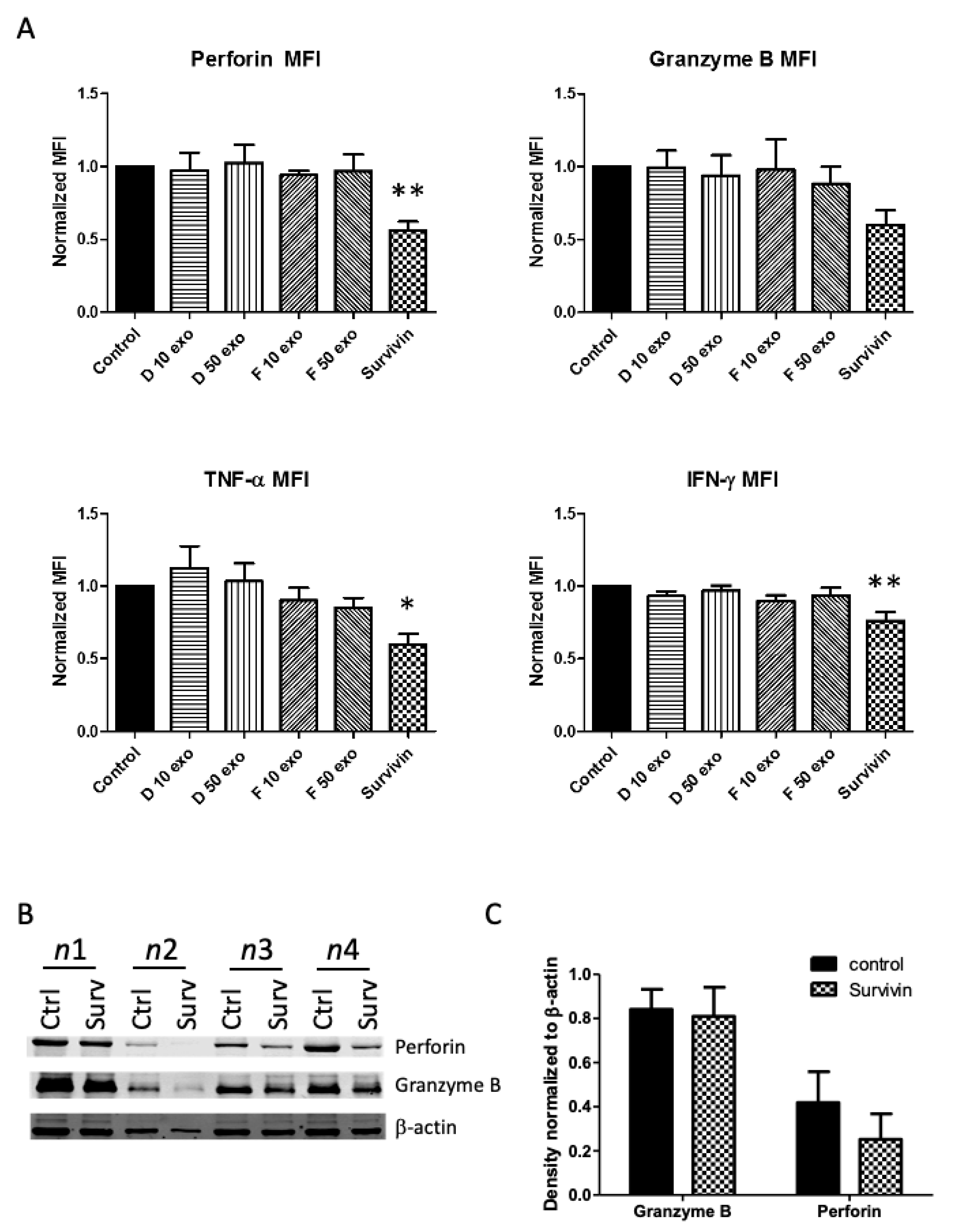 Ijms 22 01255 g005 Ijms 22 01255 g005