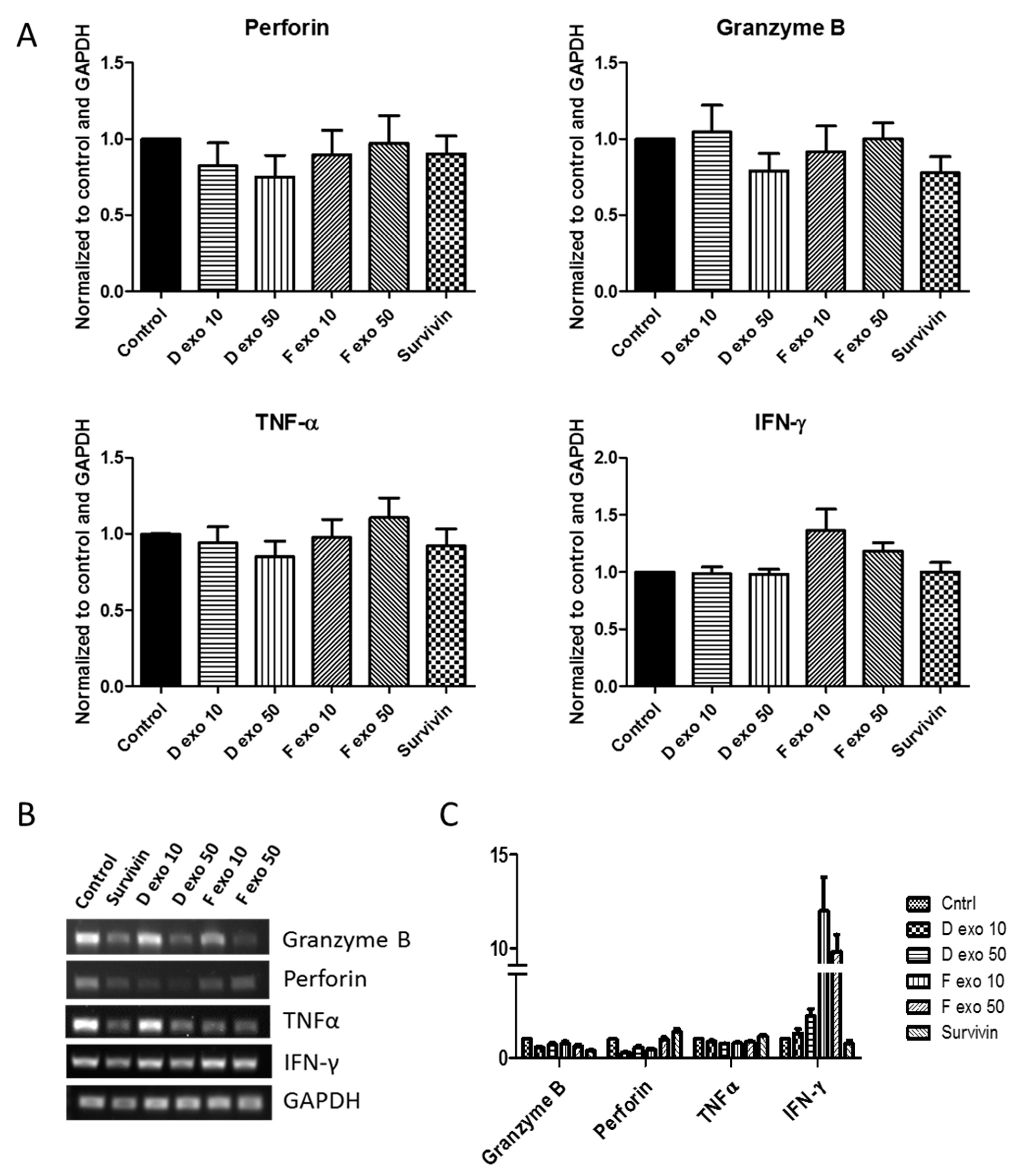Ijms 22 01255 g006 Ijms 22 01255 g006