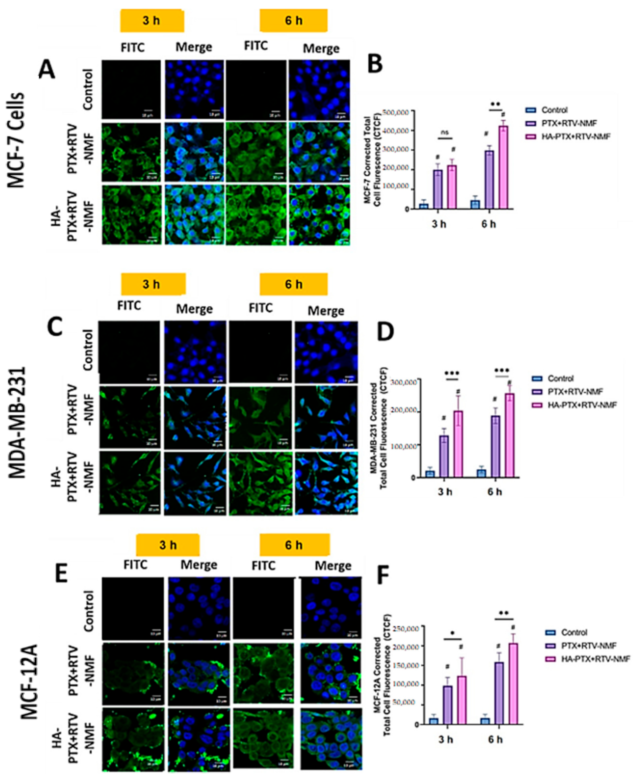 Ijms 22 01257 g009 Ijms 22 01257 g009