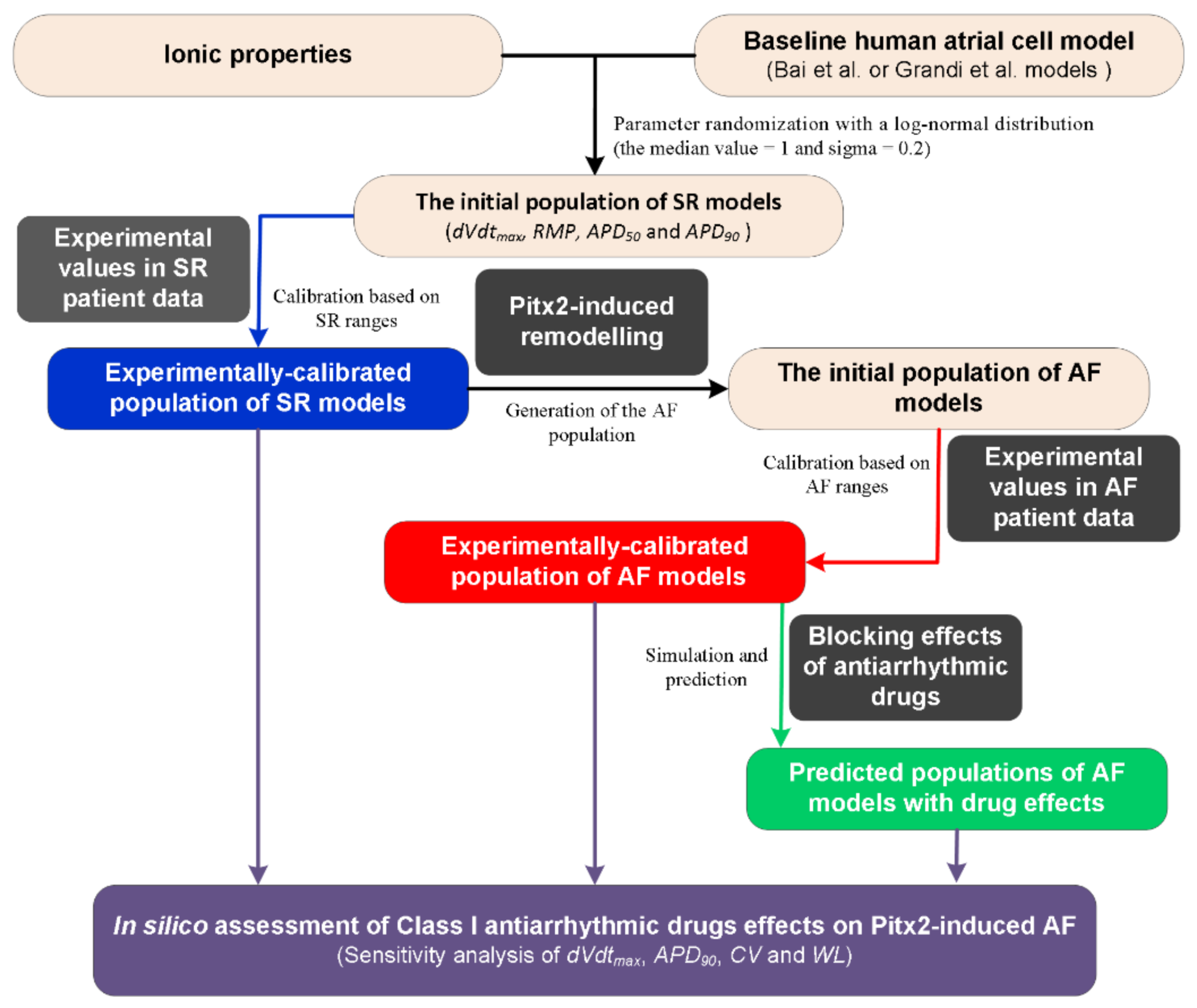 Ijms 22 01265 g001 Ijms 22 01265 g001