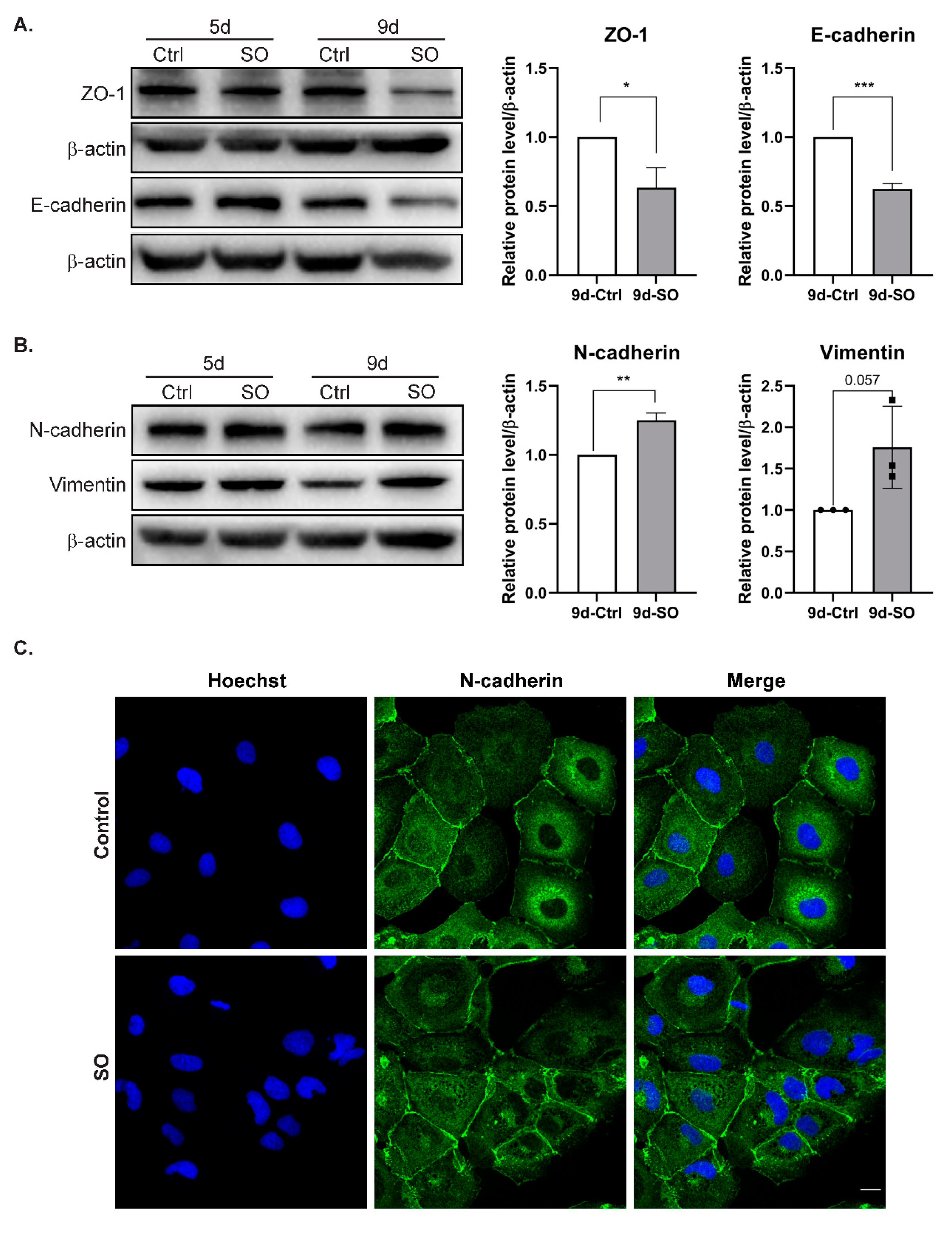 Ijms 22 01272 g003 Ijms 22 01272 g003