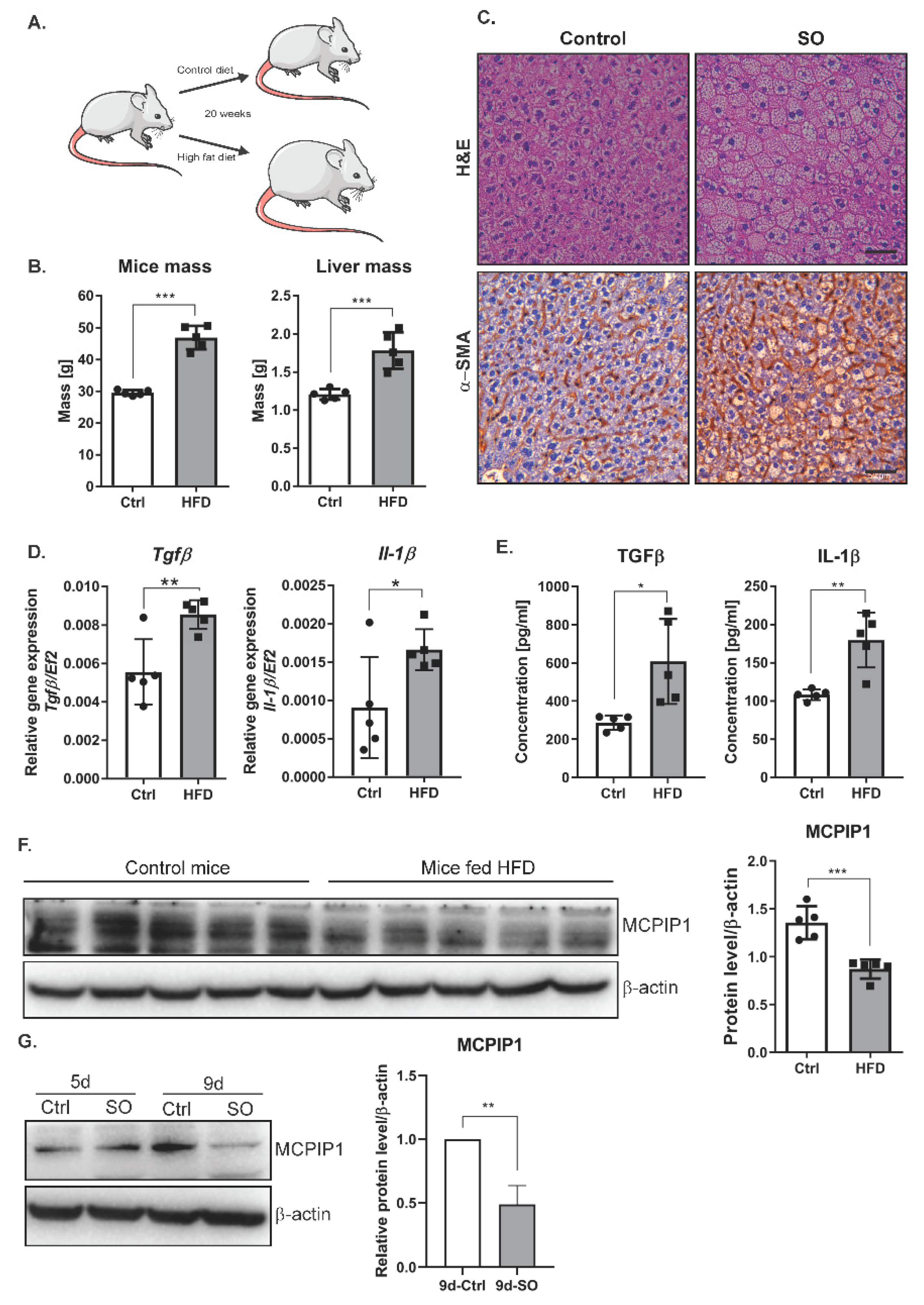 Ijms 22 01272 g004 Ijms 22 01272 g004
