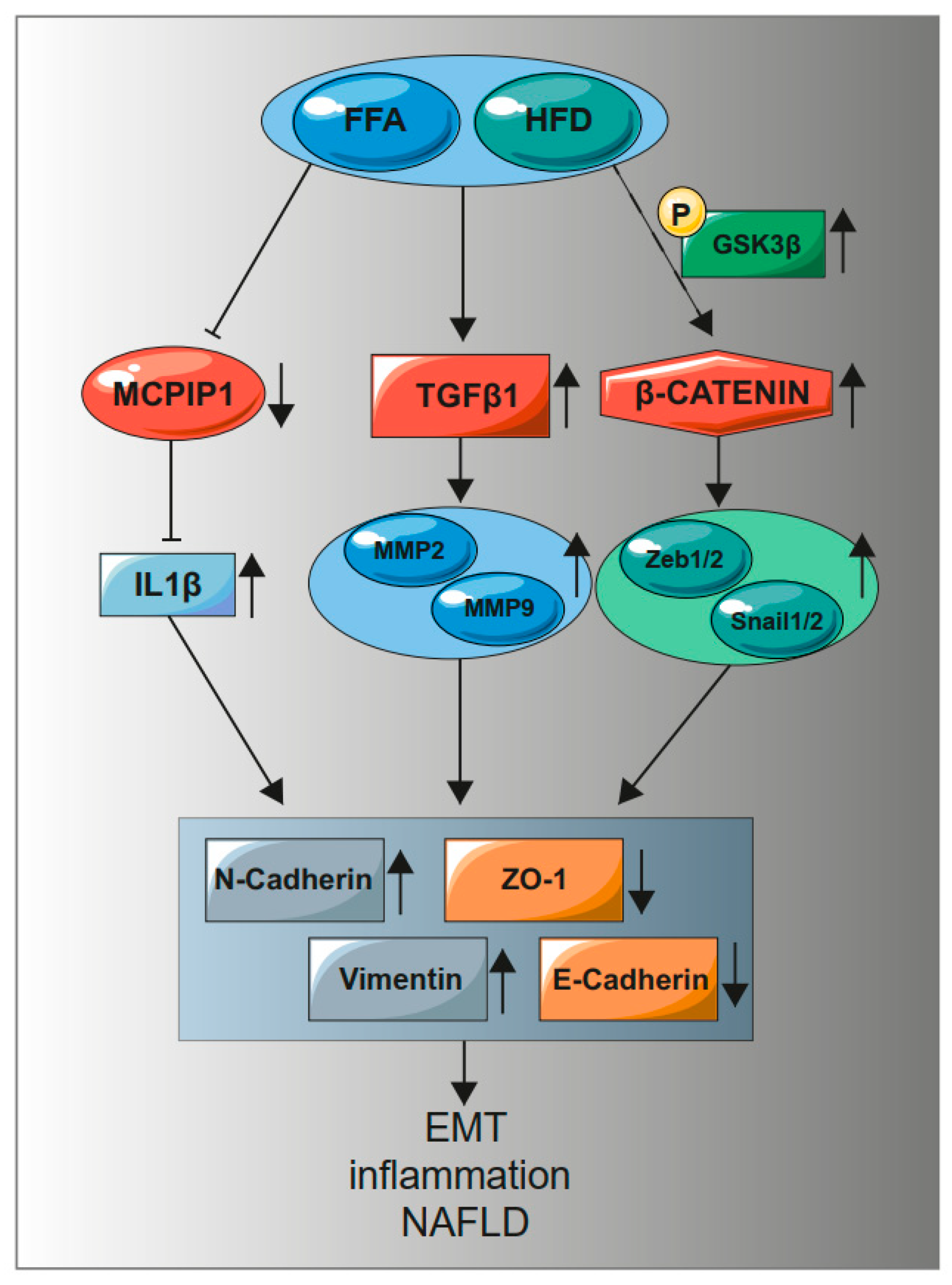 Ijms 22 01272 g006 Ijms 22 01272 g006