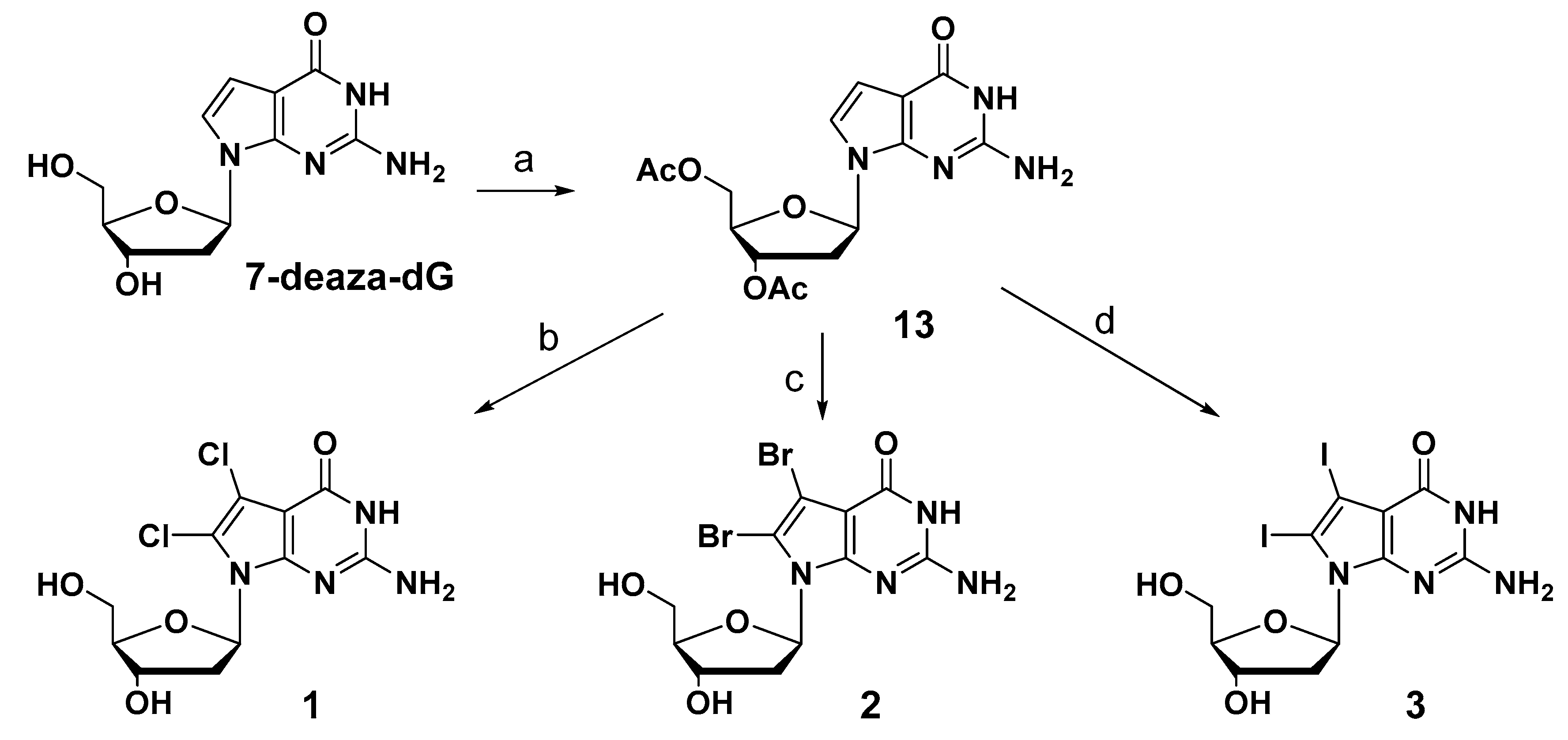 デオキシス　δ-デルタ種- 1ED Development of MTH1-Binding Nucleotide Analogs Based on 7,8