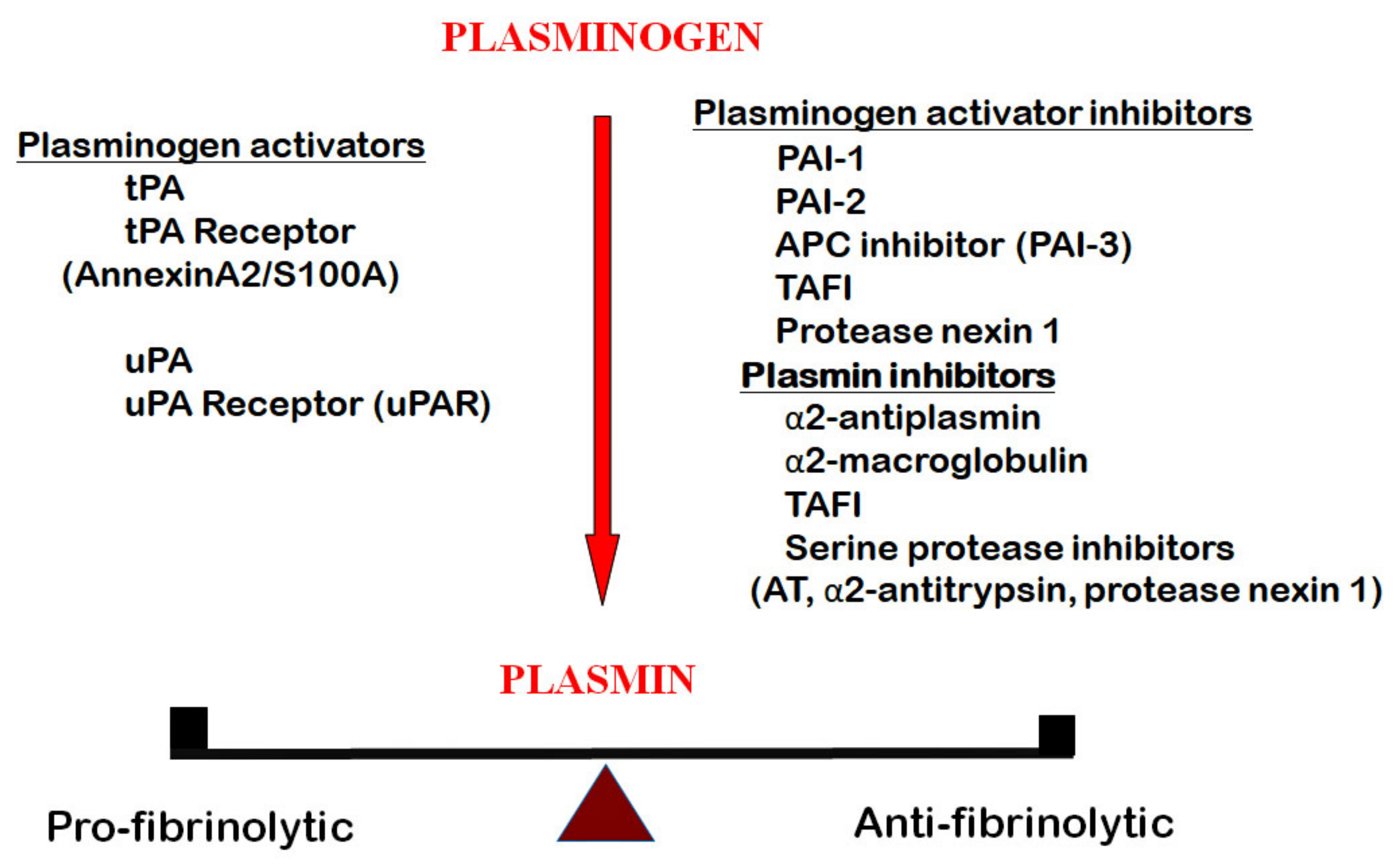 Ijms 22 01283 g001 Ijms 22 01283 g001