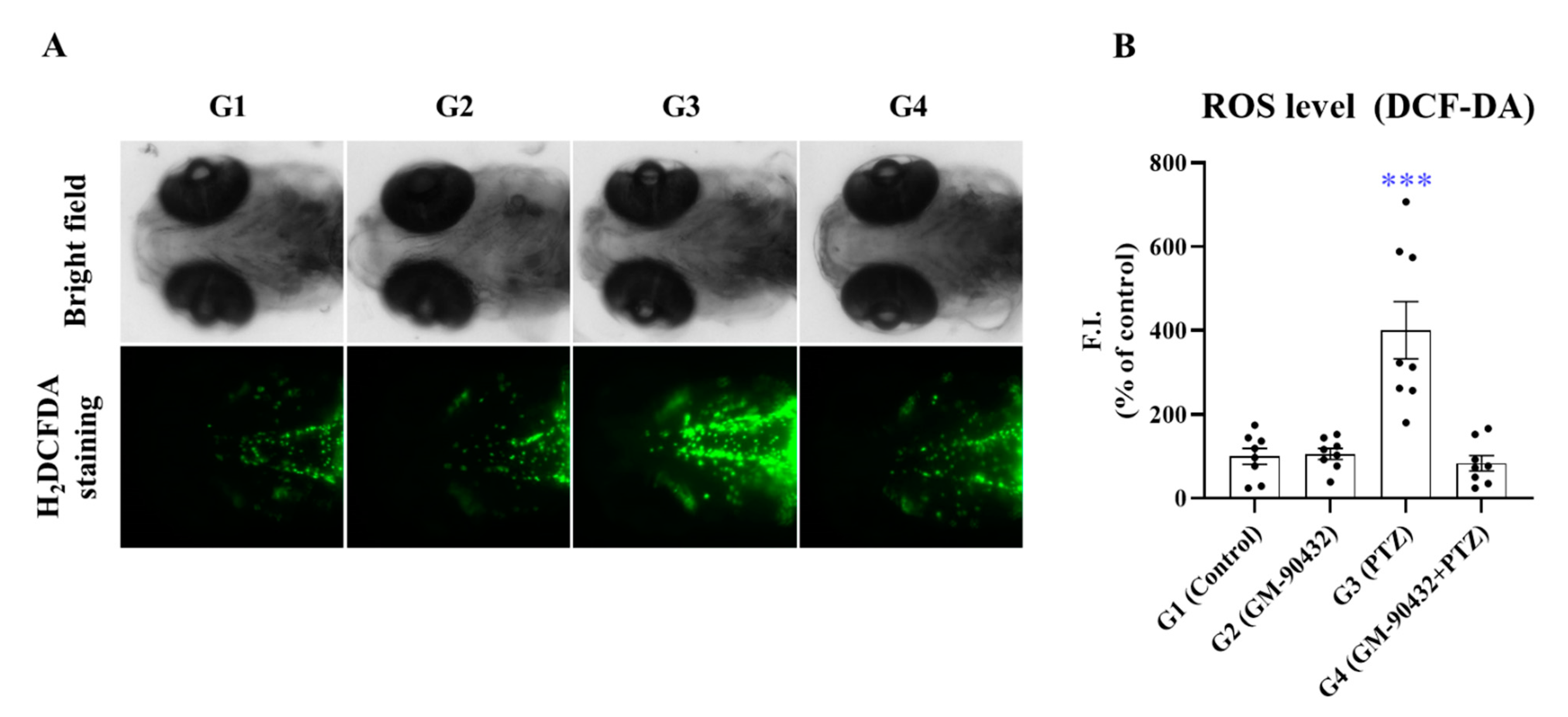 Ijms 22 01285 g005 Ijms 22 01285 g005