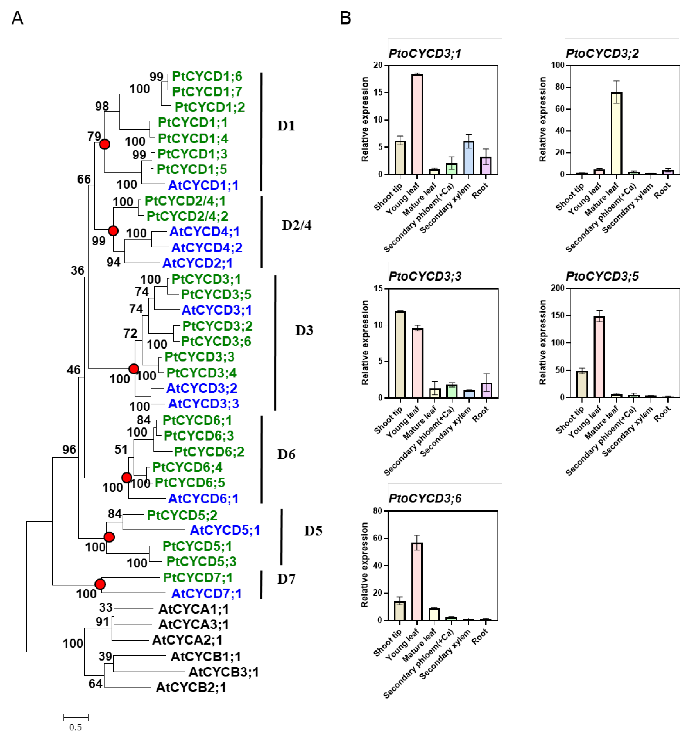 Ijms 22 01288 g001 Ijms 22 01288 g001