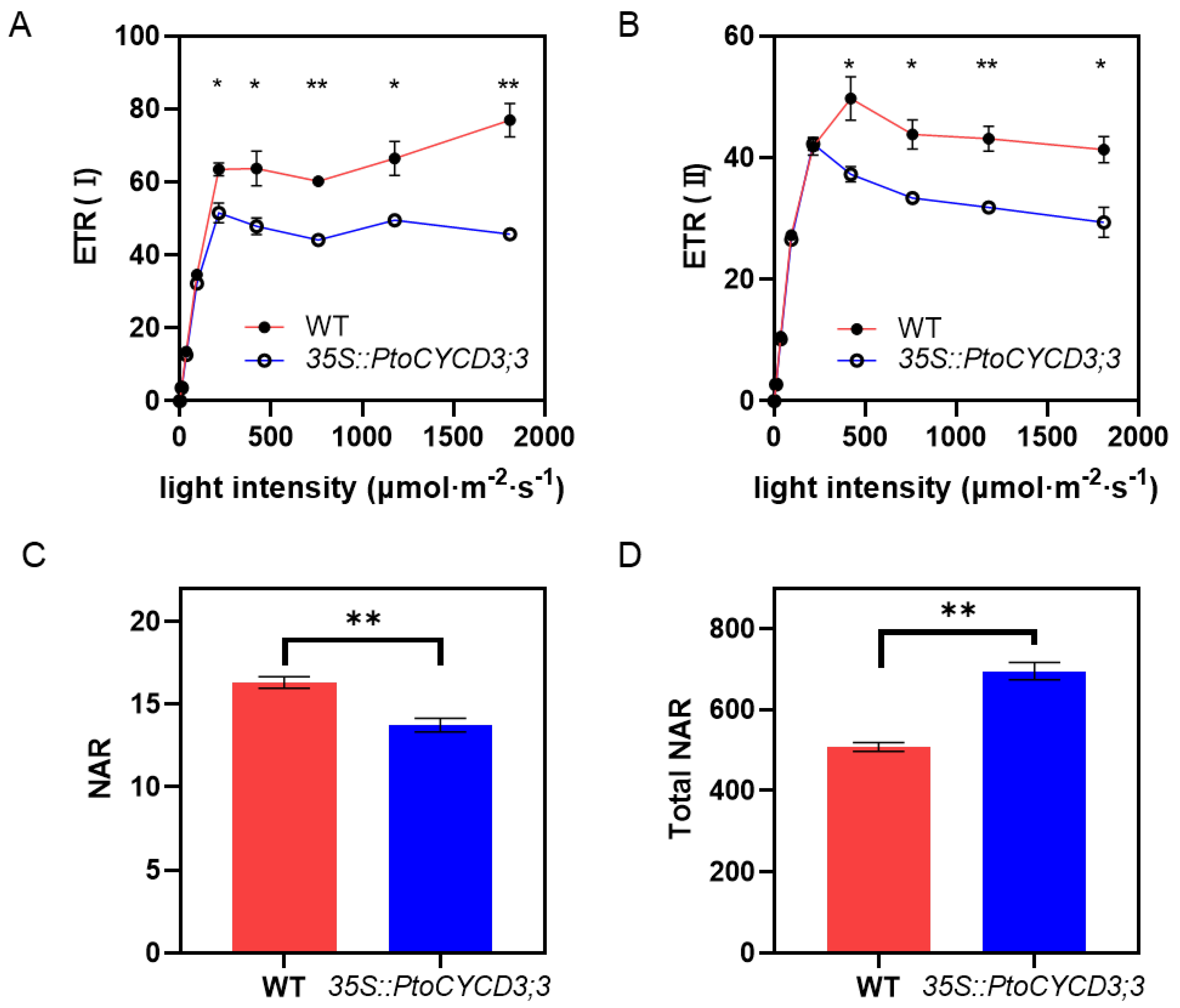 Ijms 22 01288 g004 Ijms 22 01288 g004