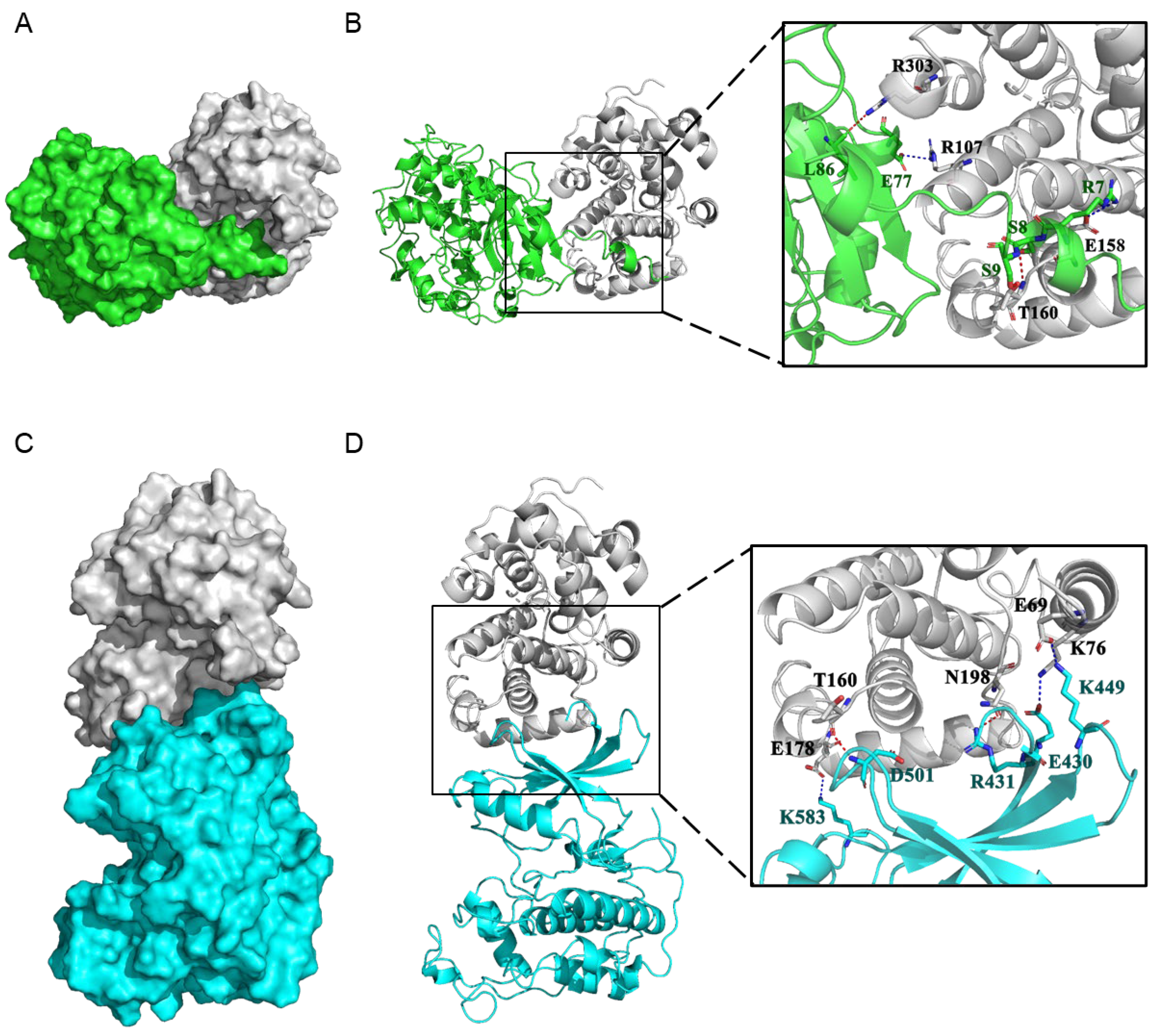Ijms 22 01288 g008 Ijms 22 01288 g008