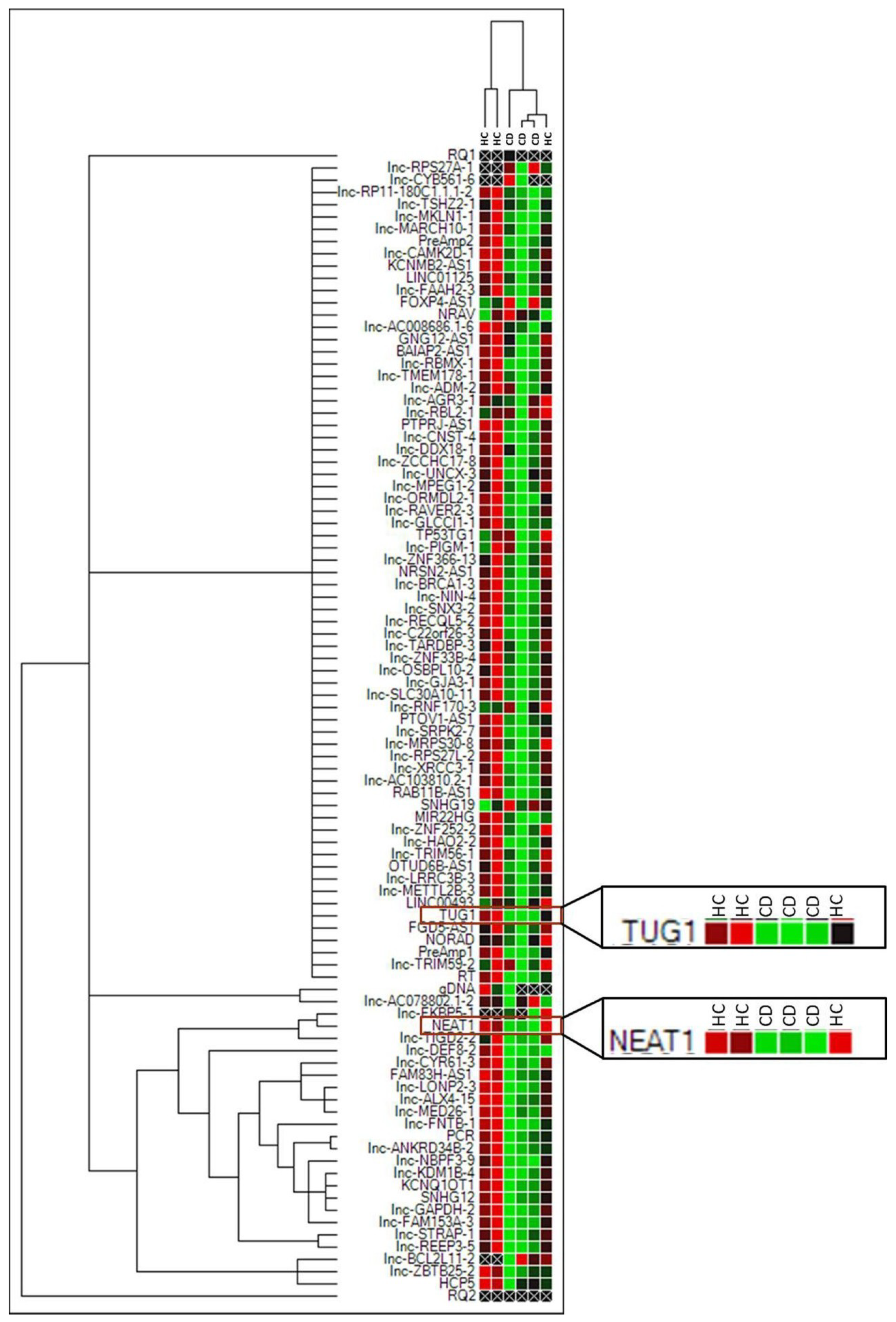 Ijms 22 01289 g001 Ijms 22 01289 g001