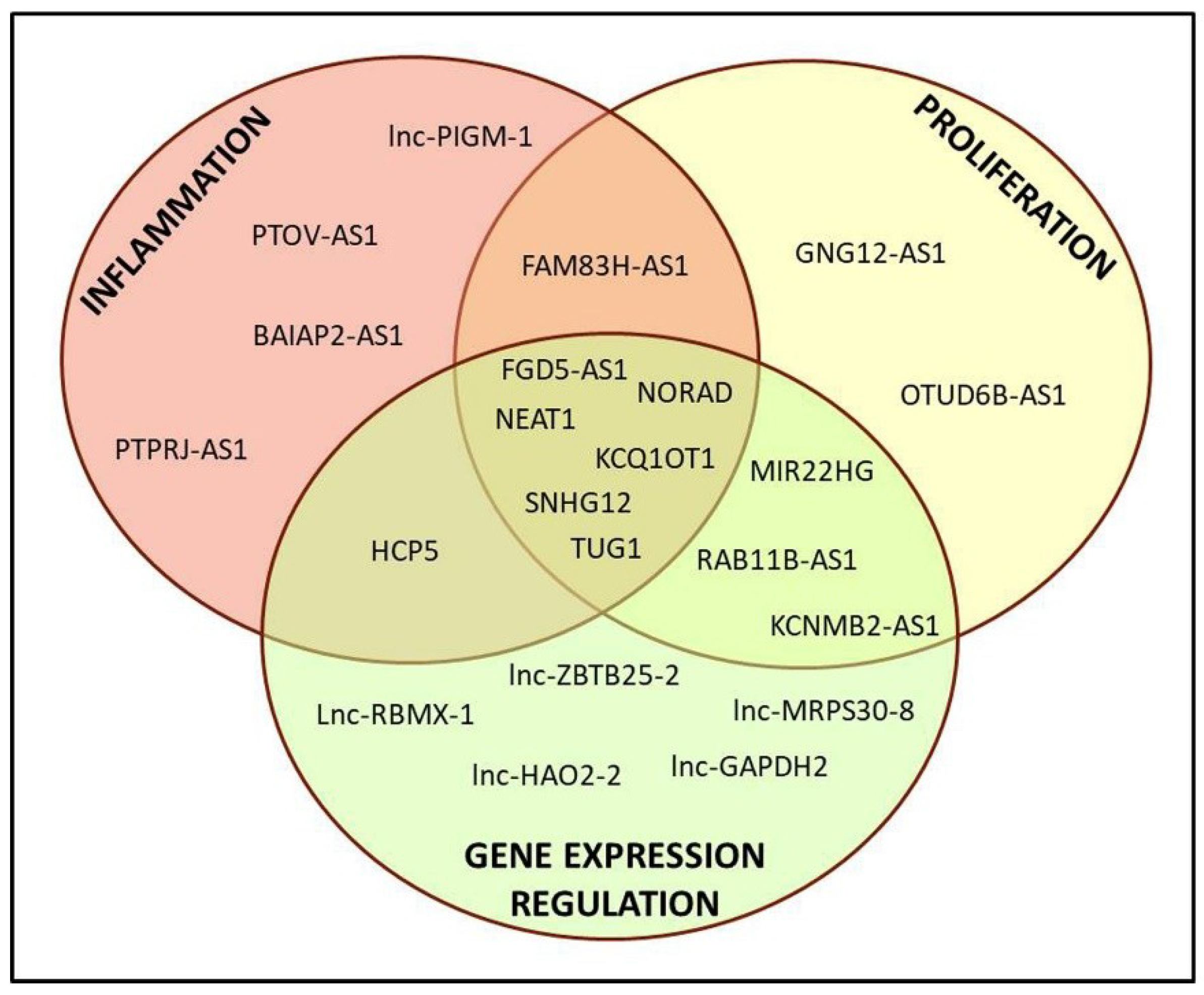 Ijms 22 01289 g002 Ijms 22 01289 g002