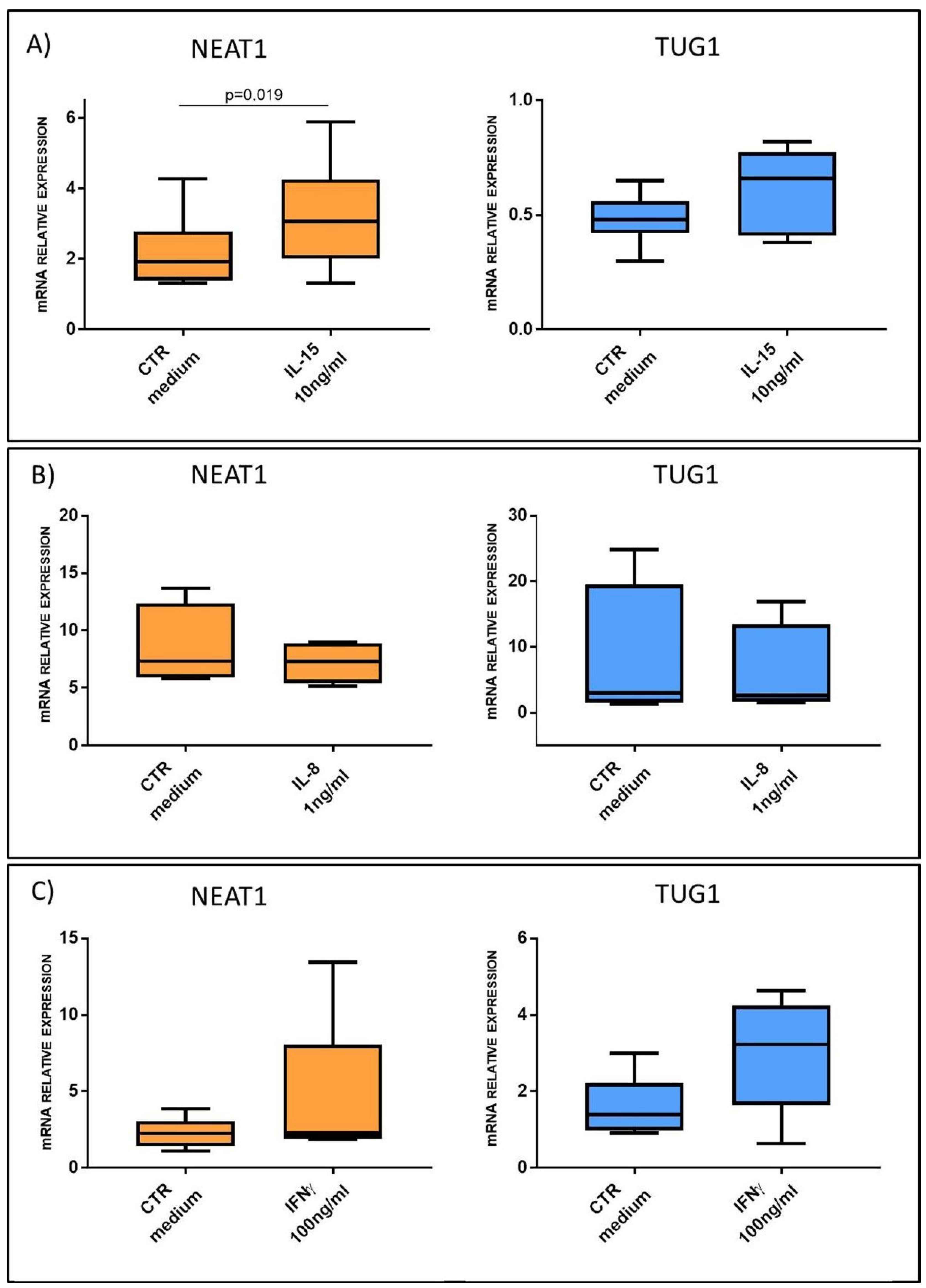 Ijms 22 01289 g007 Ijms 22 01289 g007