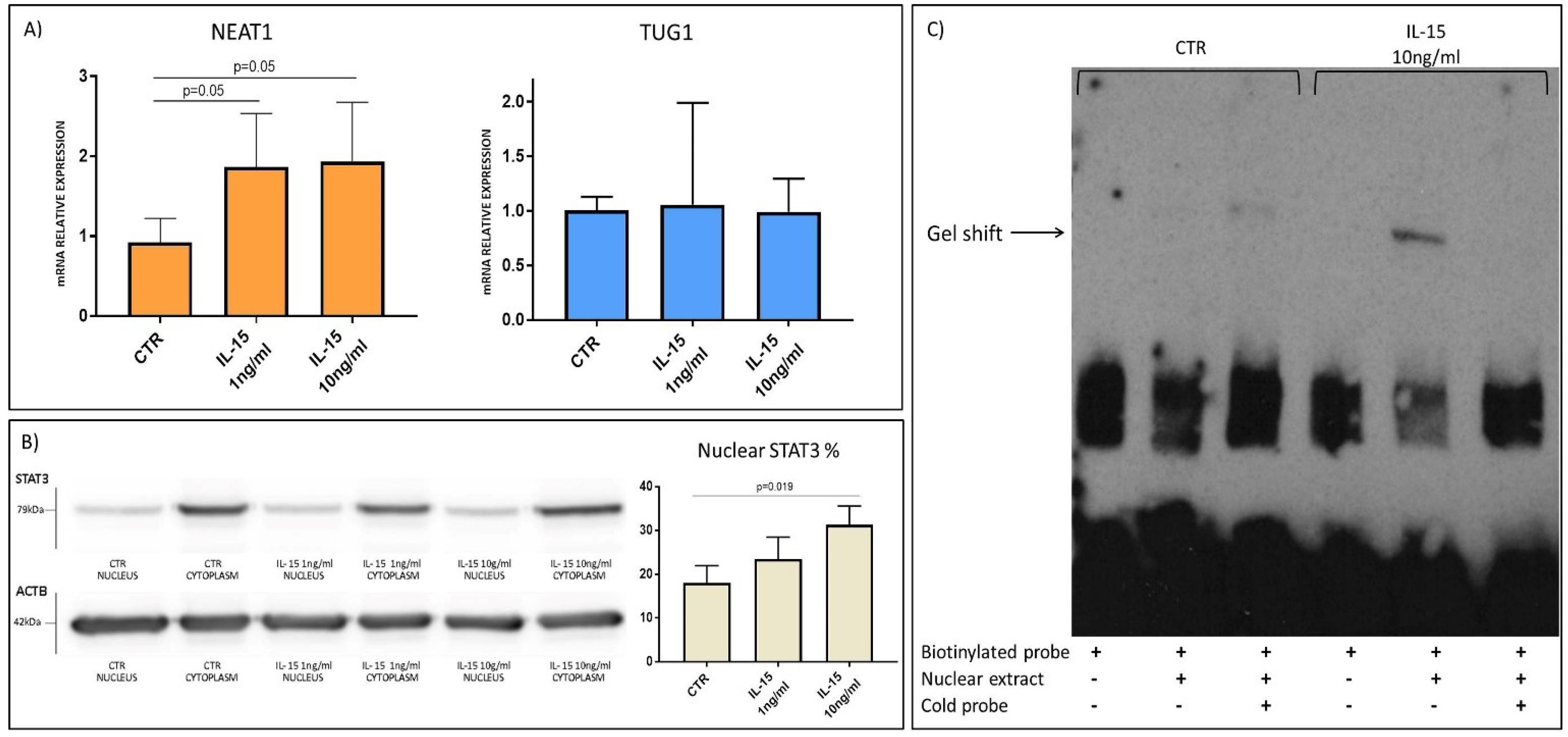 Ijms 22 01289 g008 Ijms 22 01289 g008