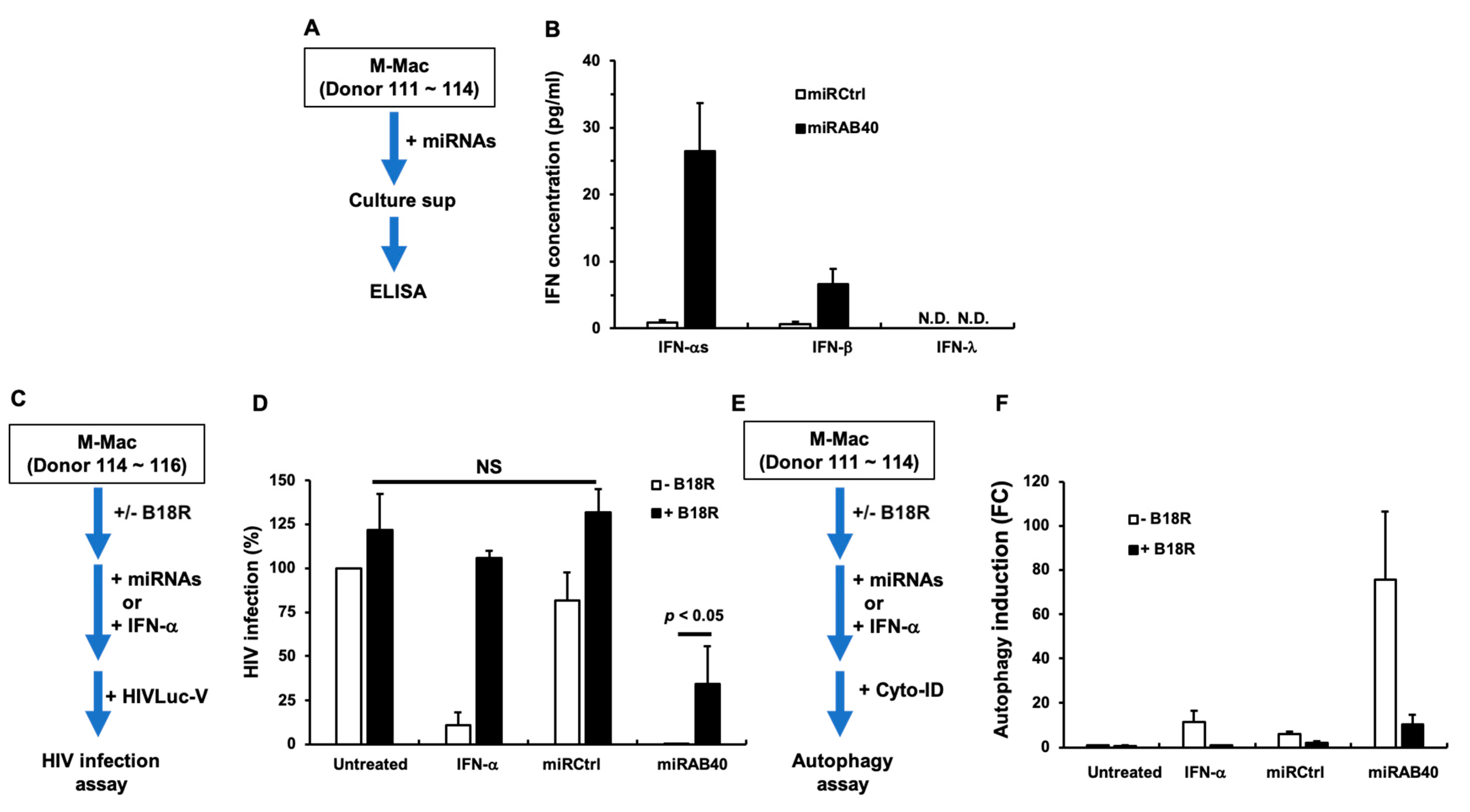 Ijms 22 01290 g005 Ijms 22 01290 g005
