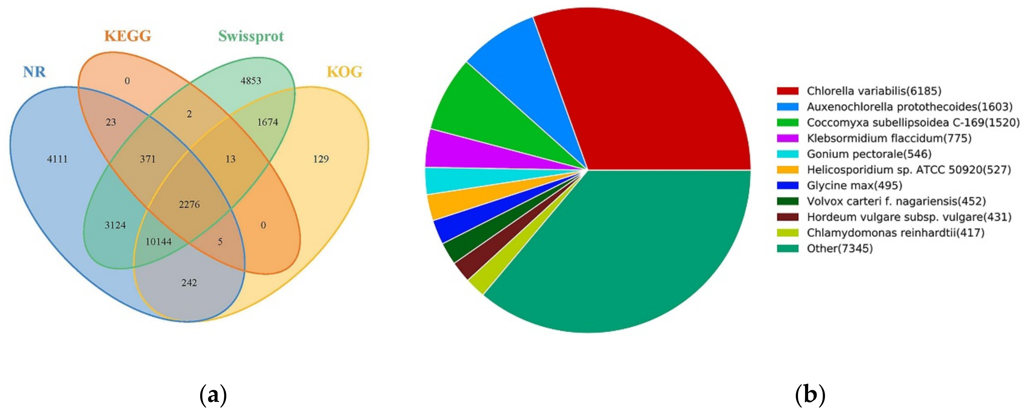 Ijms 22 01304 g003 Ijms 22 01304 g003