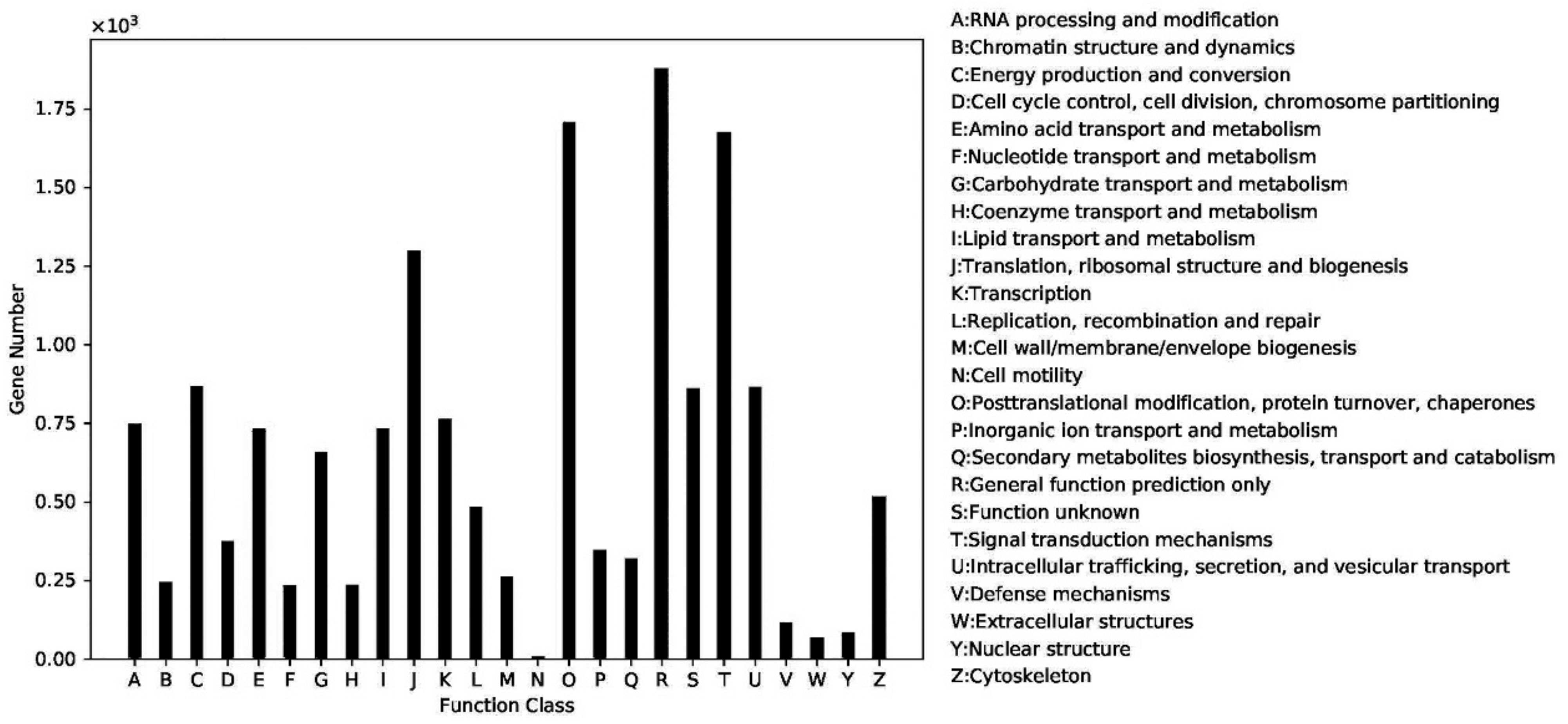 Ijms 22 01304 g005 Ijms 22 01304 g005