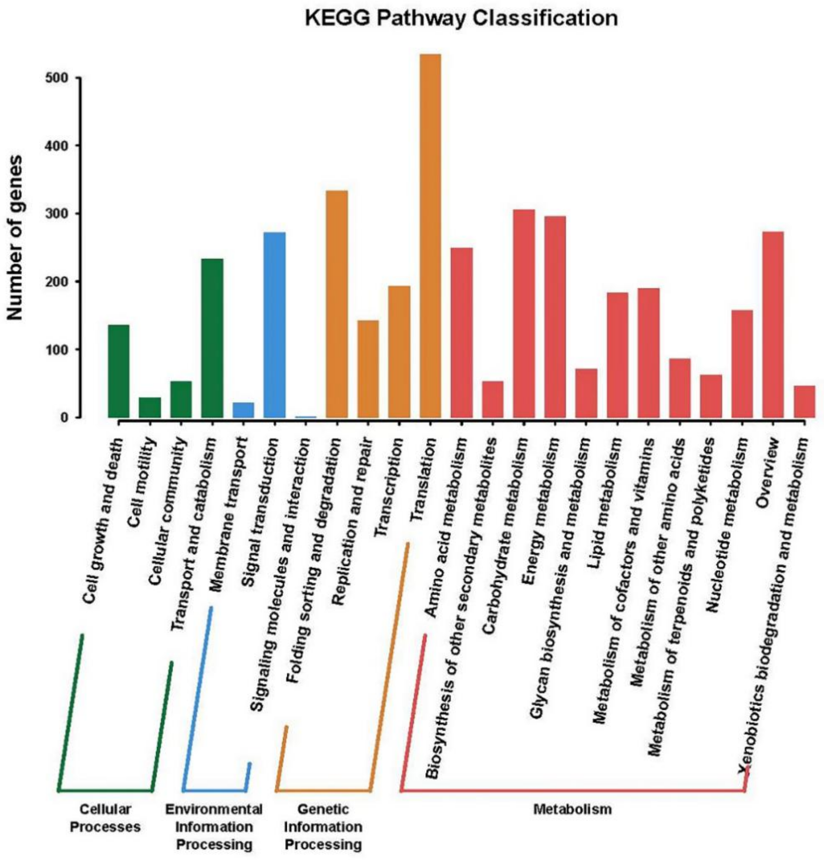 Ijms 22 01304 g006 Ijms 22 01304 g006