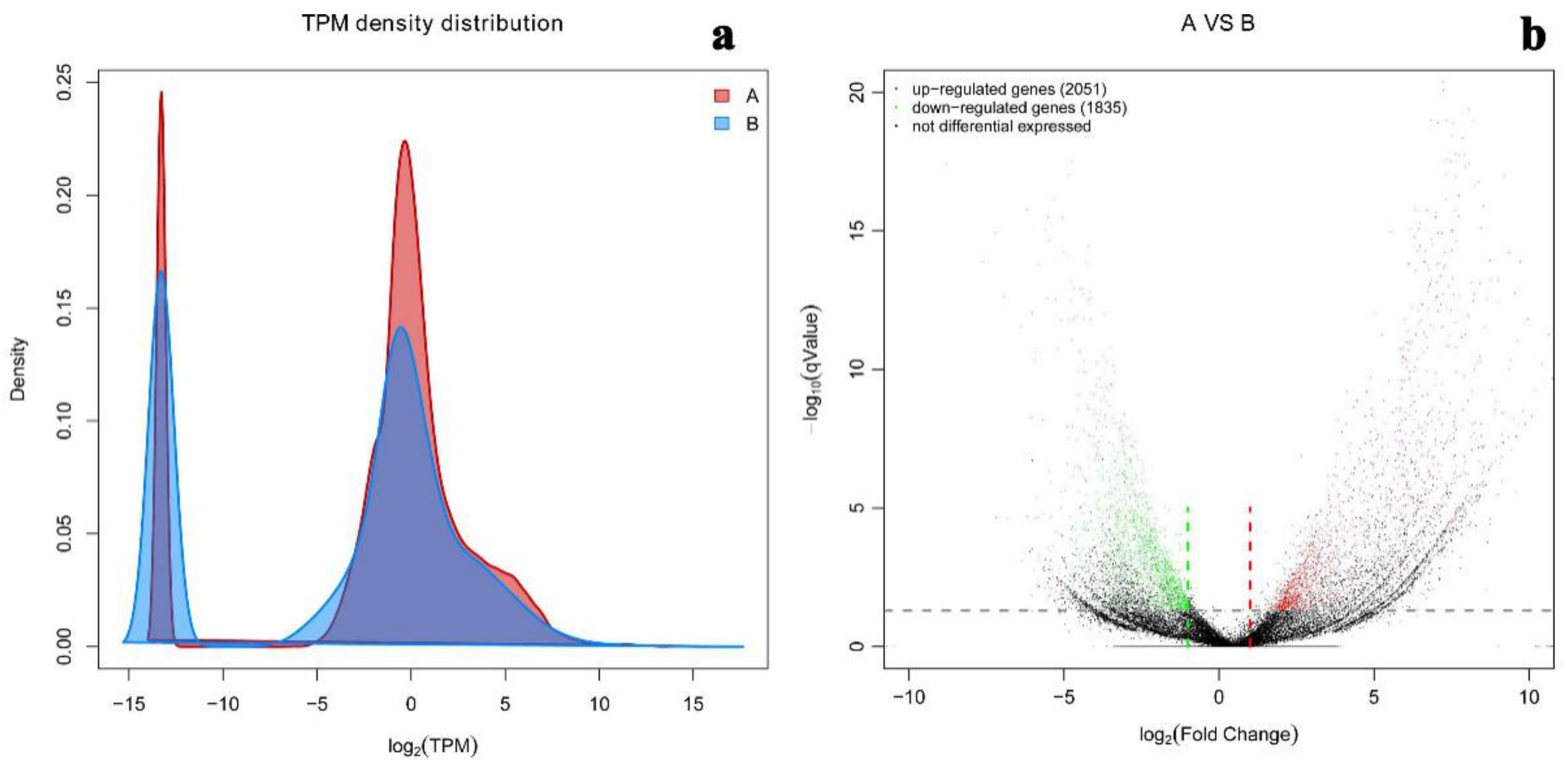 Ijms 22 01304 g007 Ijms 22 01304 g007